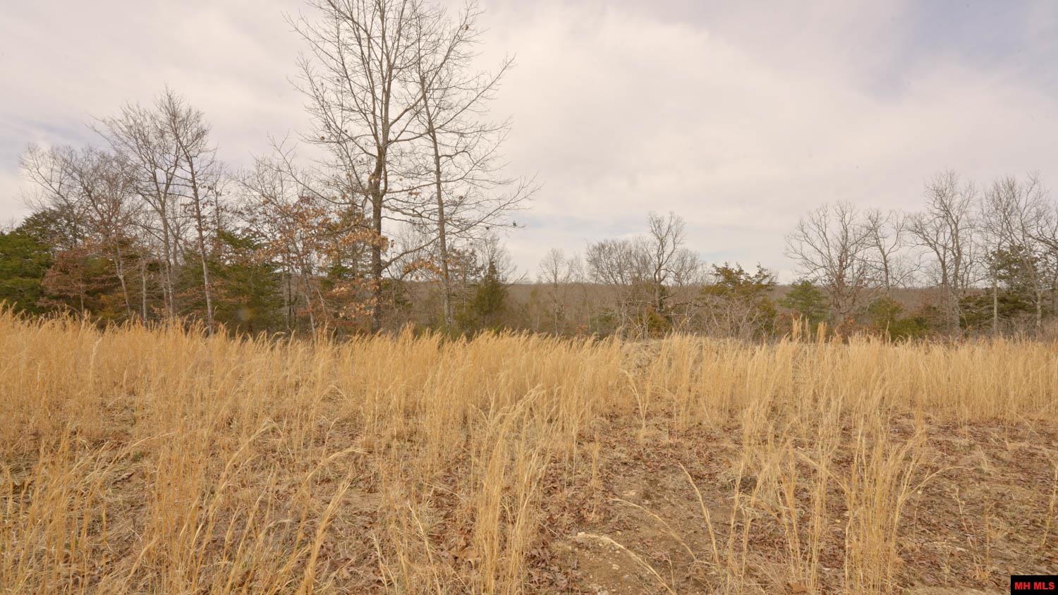 Lot 22 Oakridge Drive