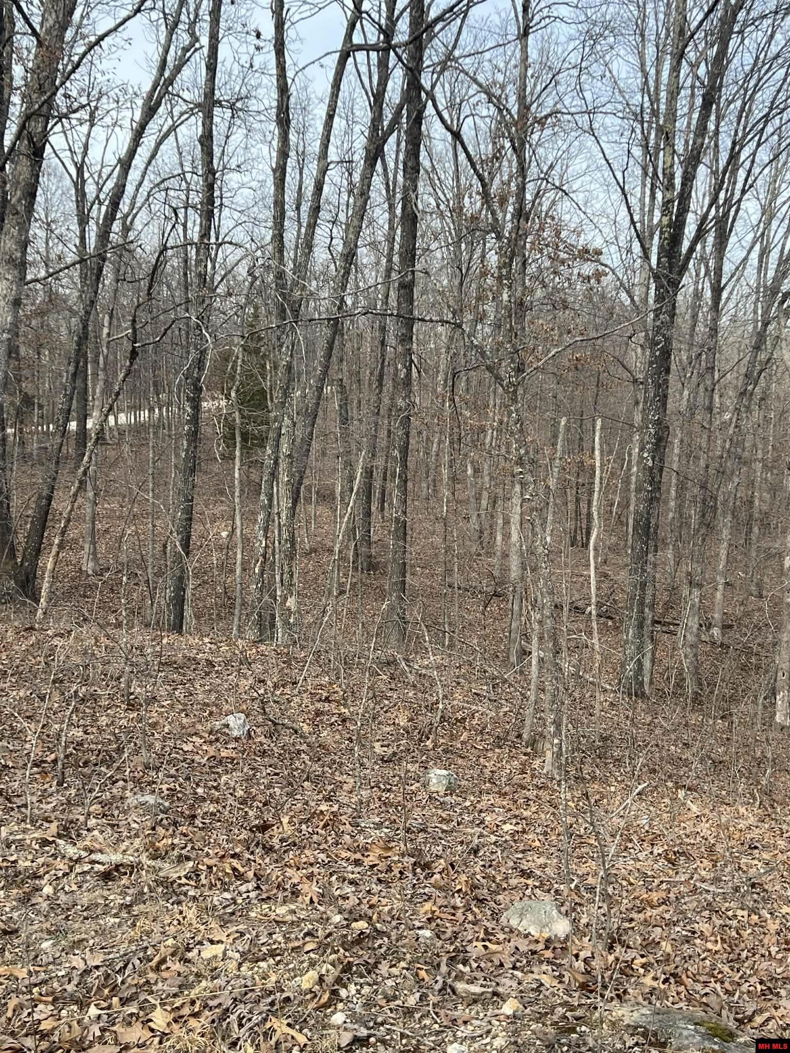 250735000000007 State Hwy Y