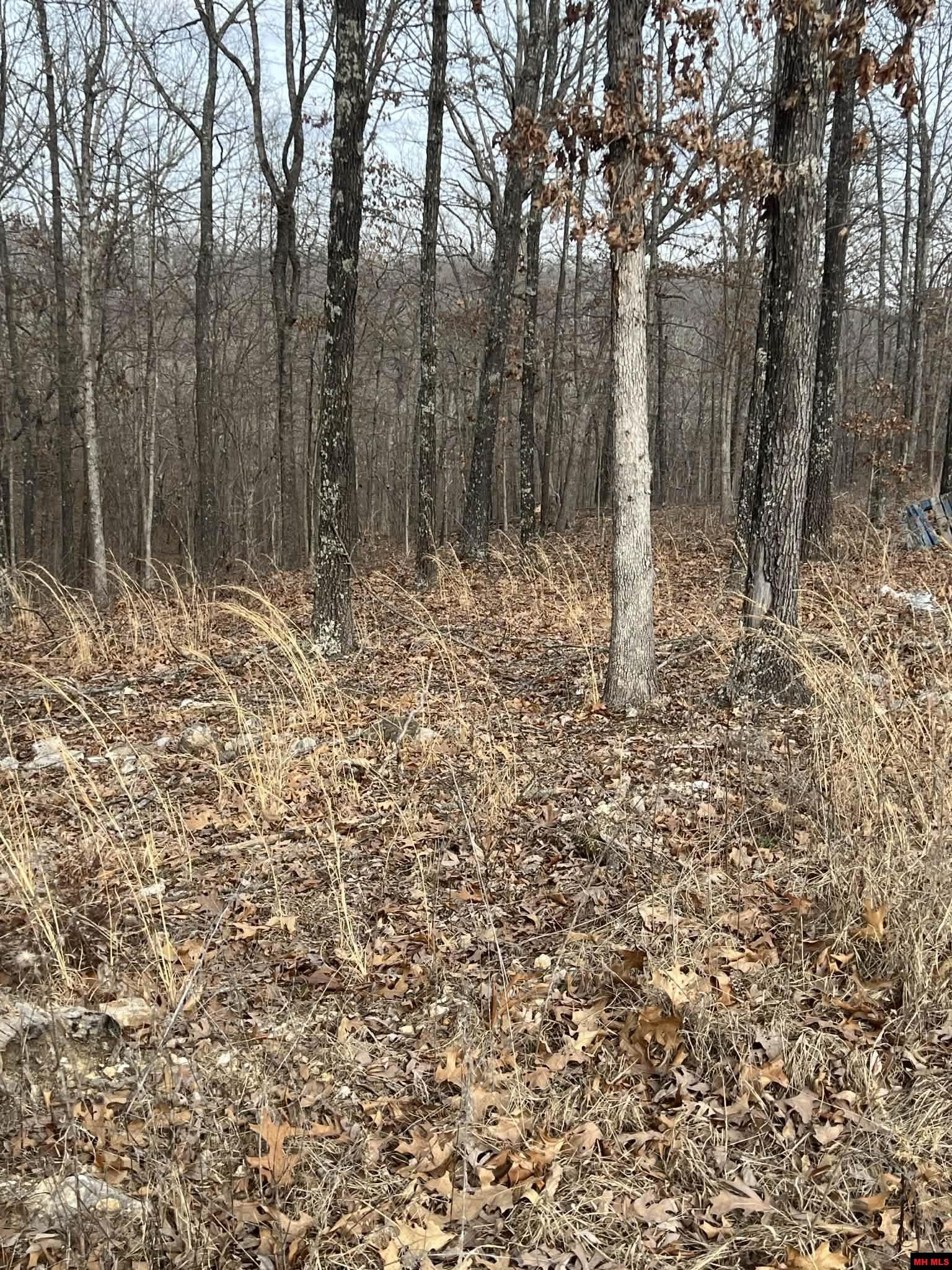 250735000000007 State Hwy Y