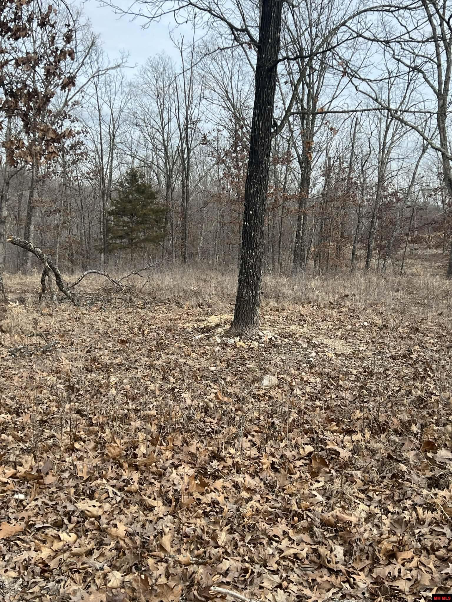 250735000000007 State Hwy Y