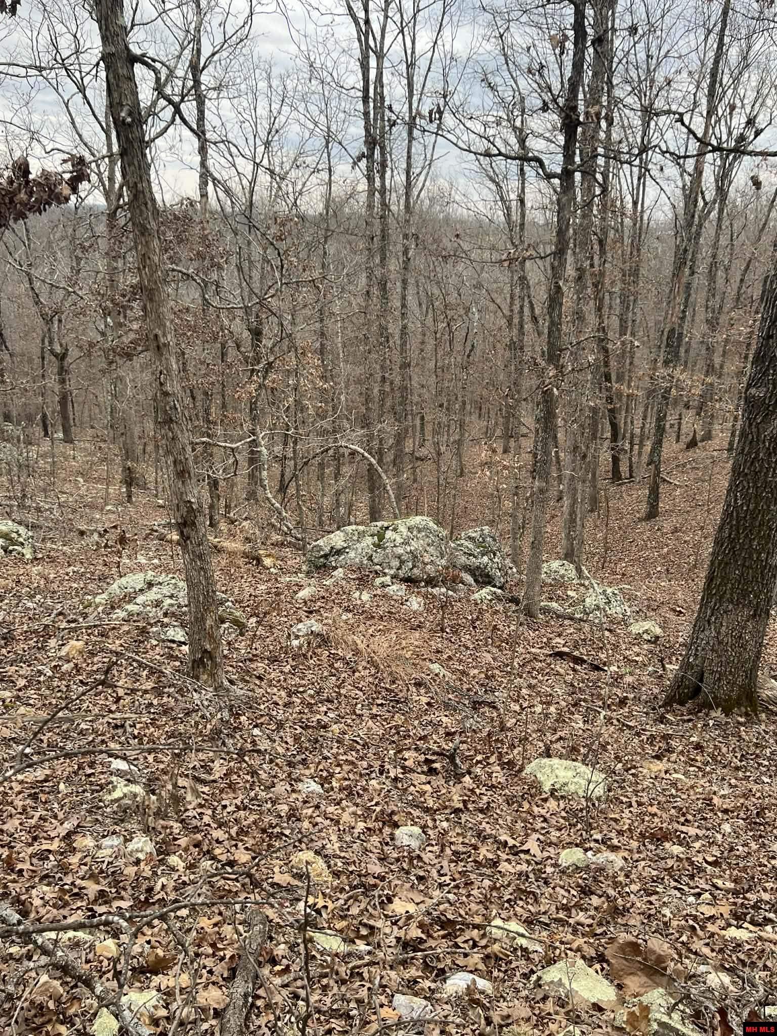 250735000000007 State Hwy Y