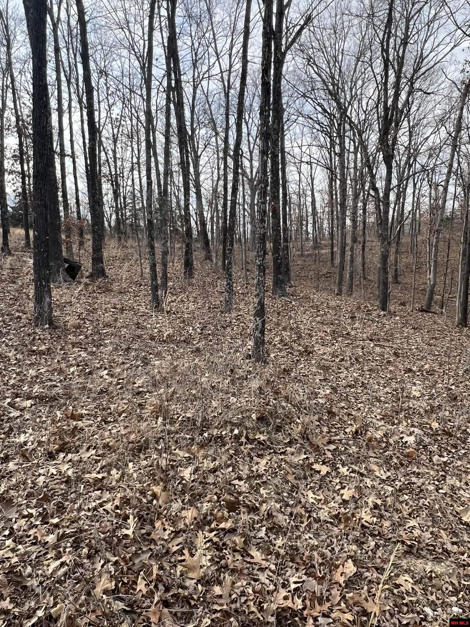 250735000000007 State Hwy Y