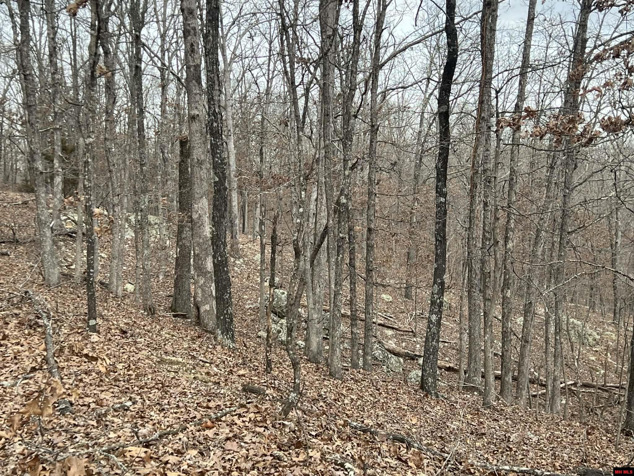 250735000000007 State Hwy Y