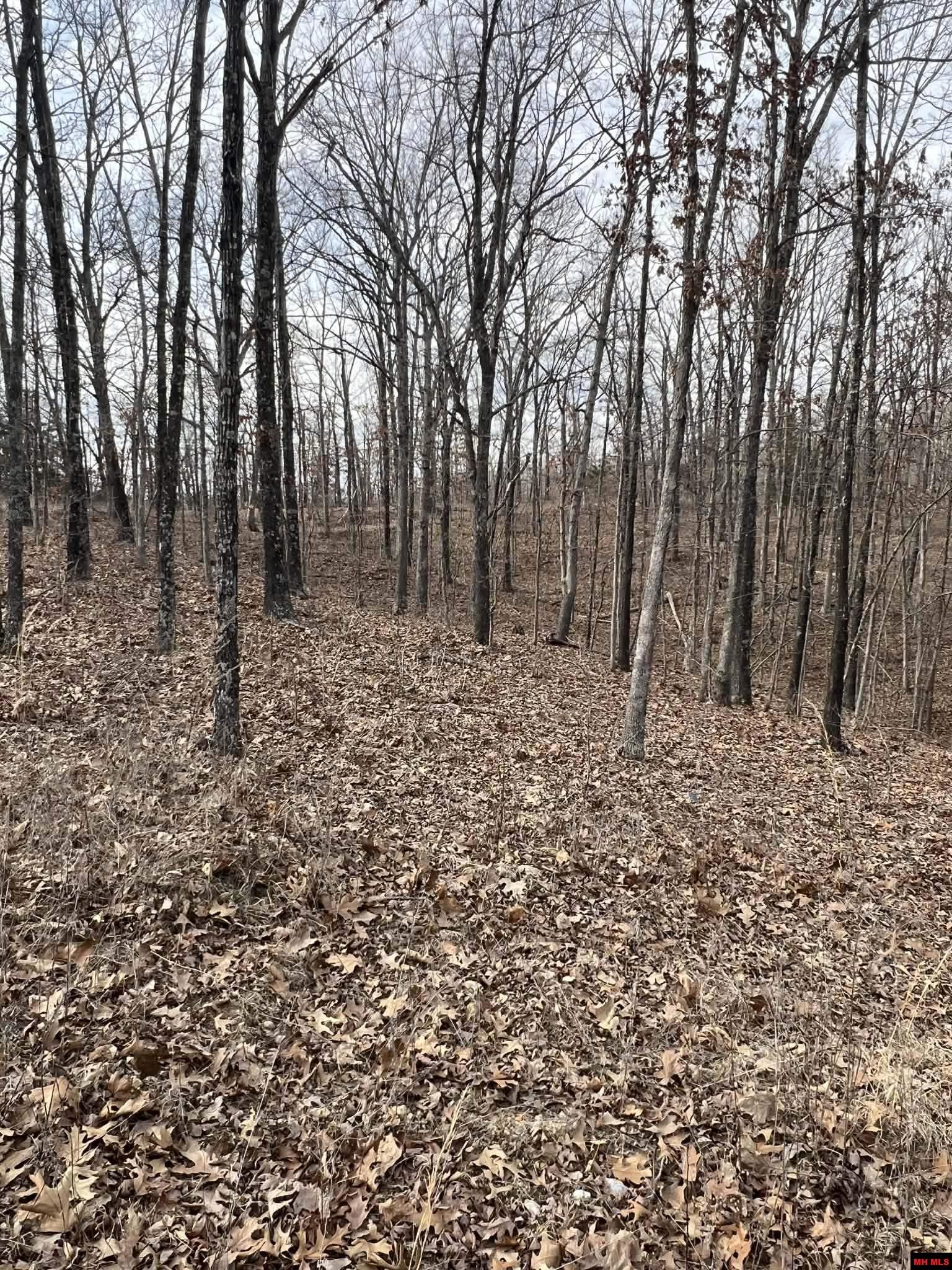 250735000000007 State Hwy Y