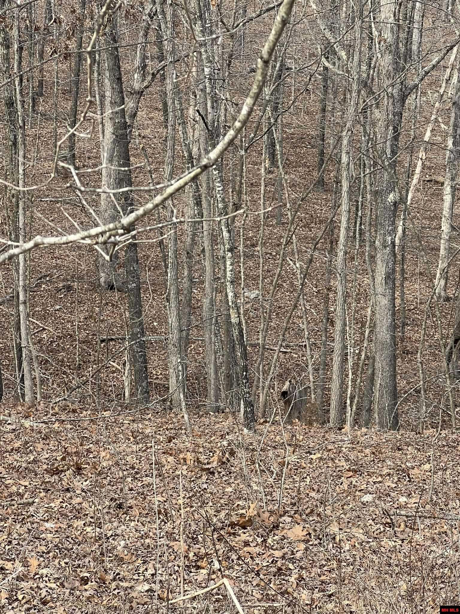 250735000000007 State Hwy Y