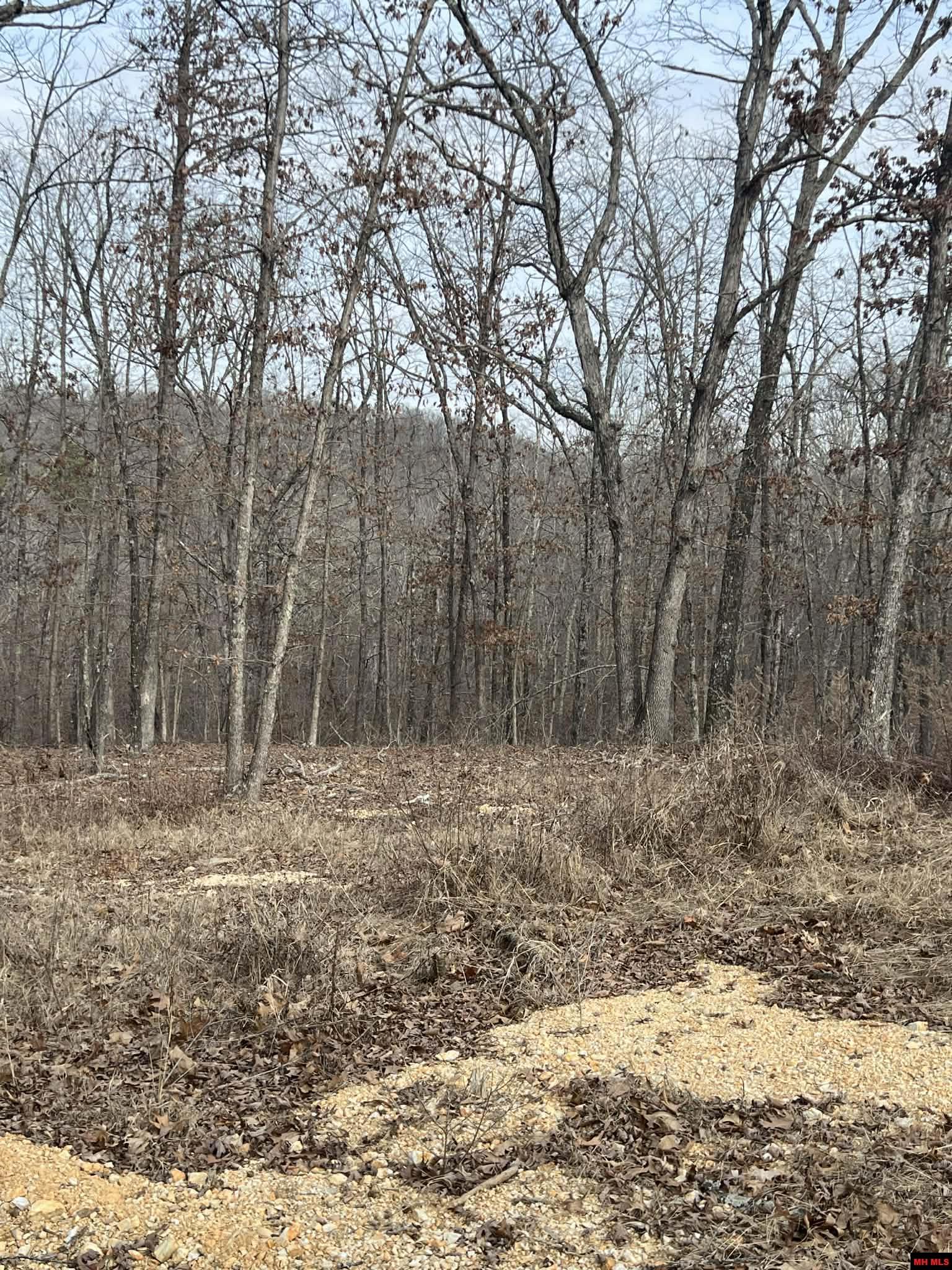 250735000000007 State Hwy Y