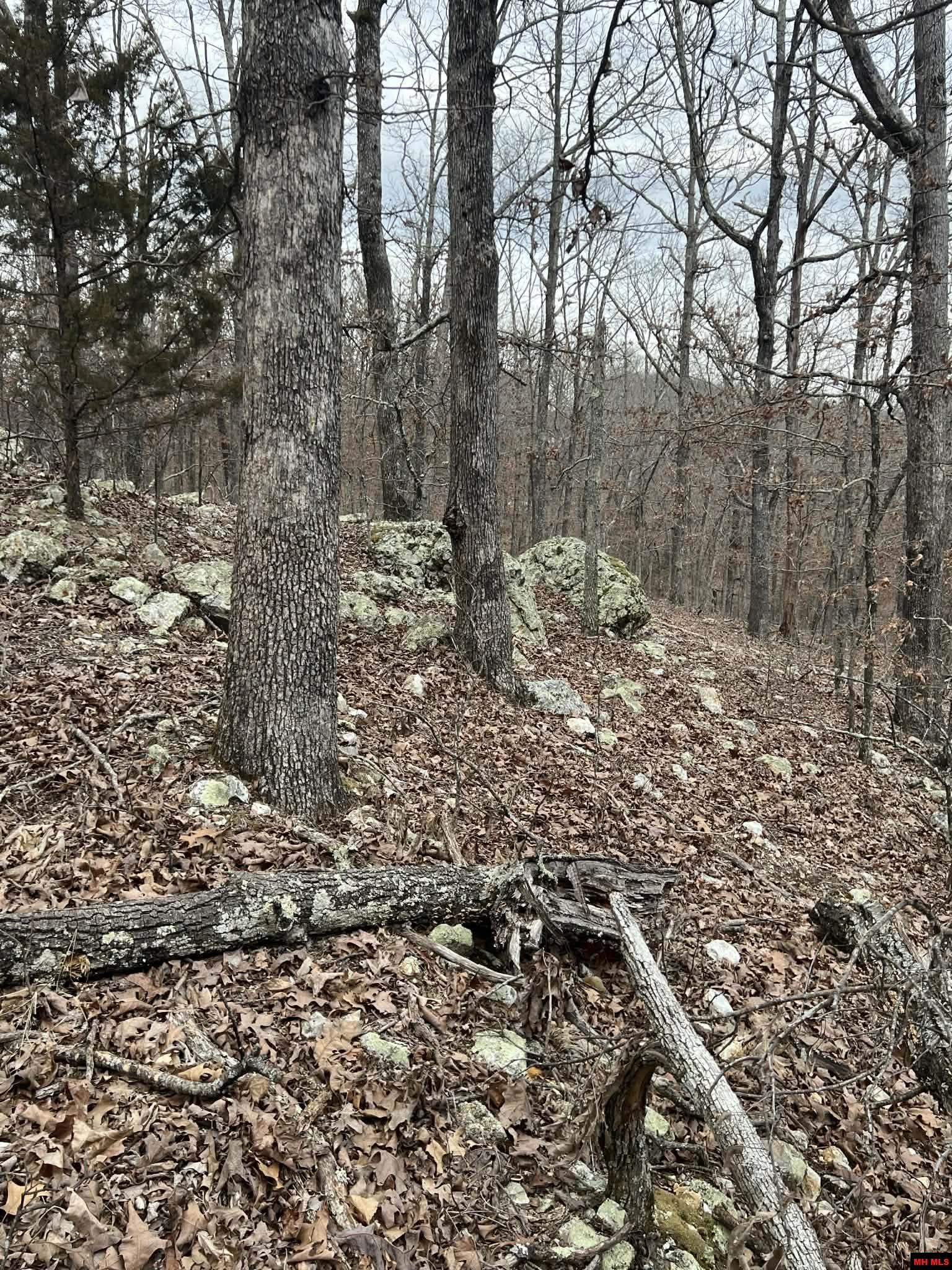 250735000000007 State Hwy Y