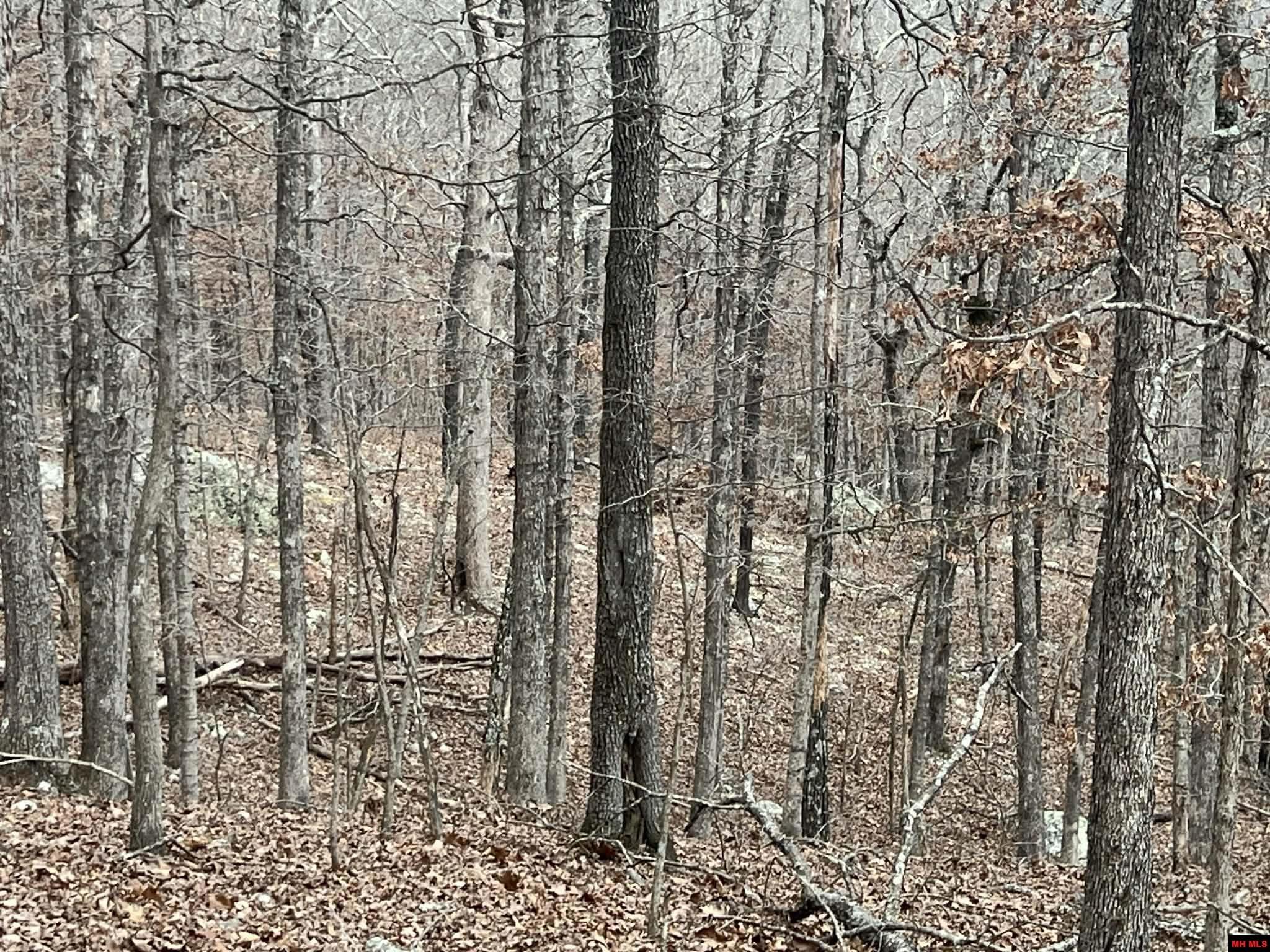 250735000000007 State Hwy Y