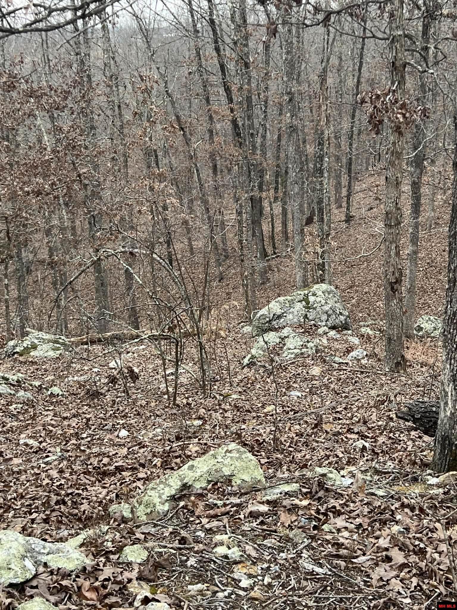 250735000000007 State Hwy Y