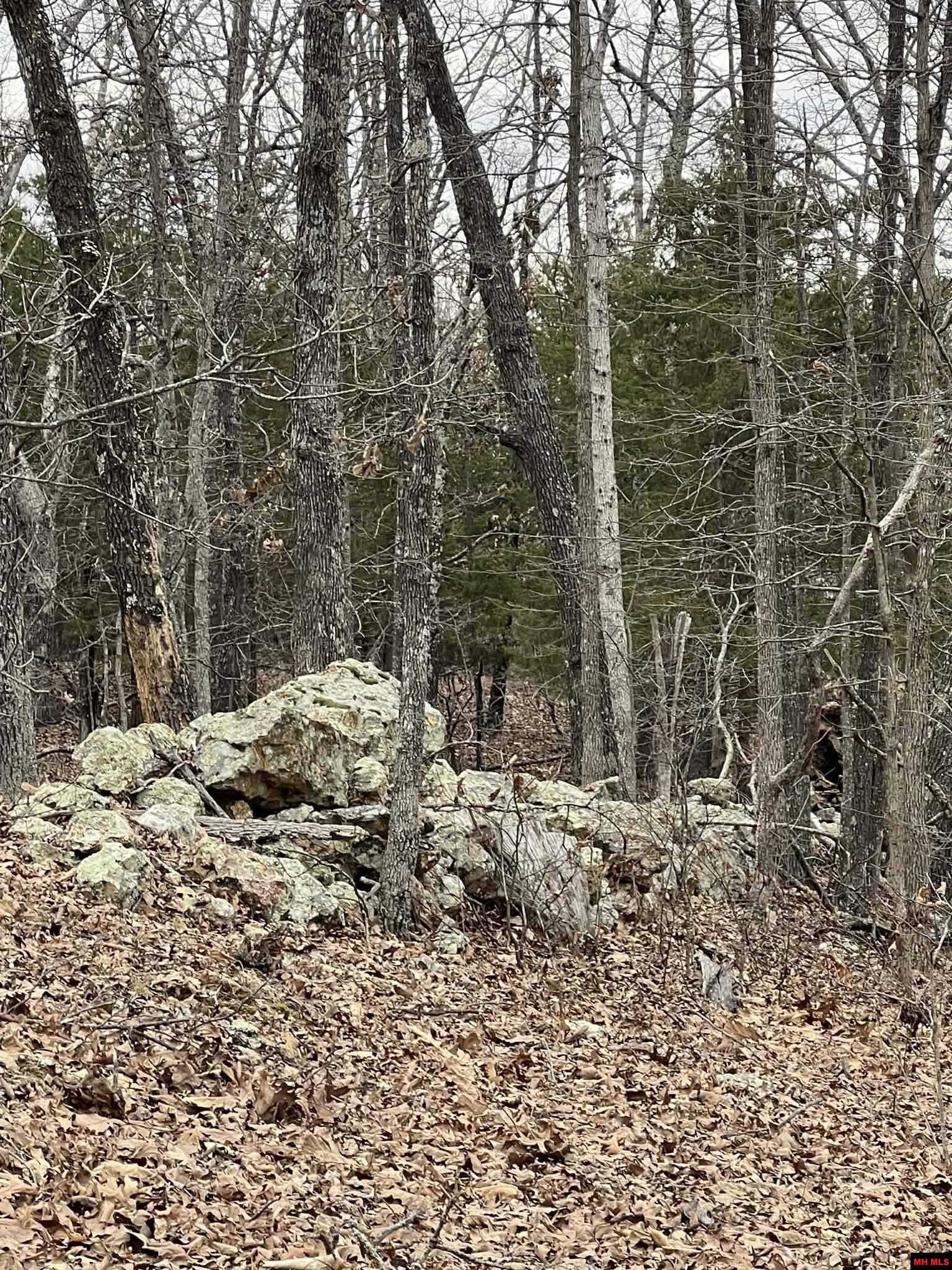 250735000000007 State Hwy Y