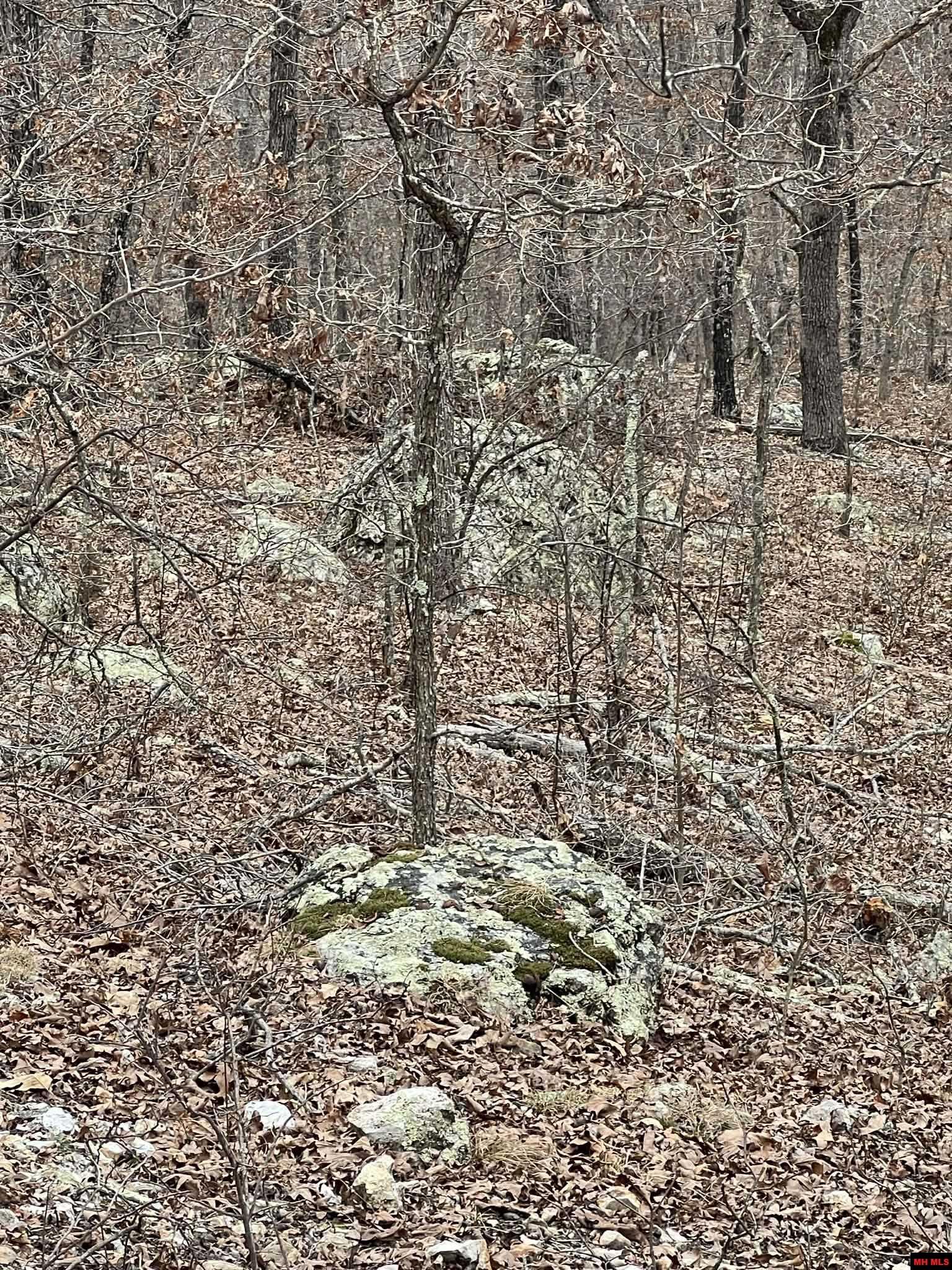 250735000000007 State Hwy Y