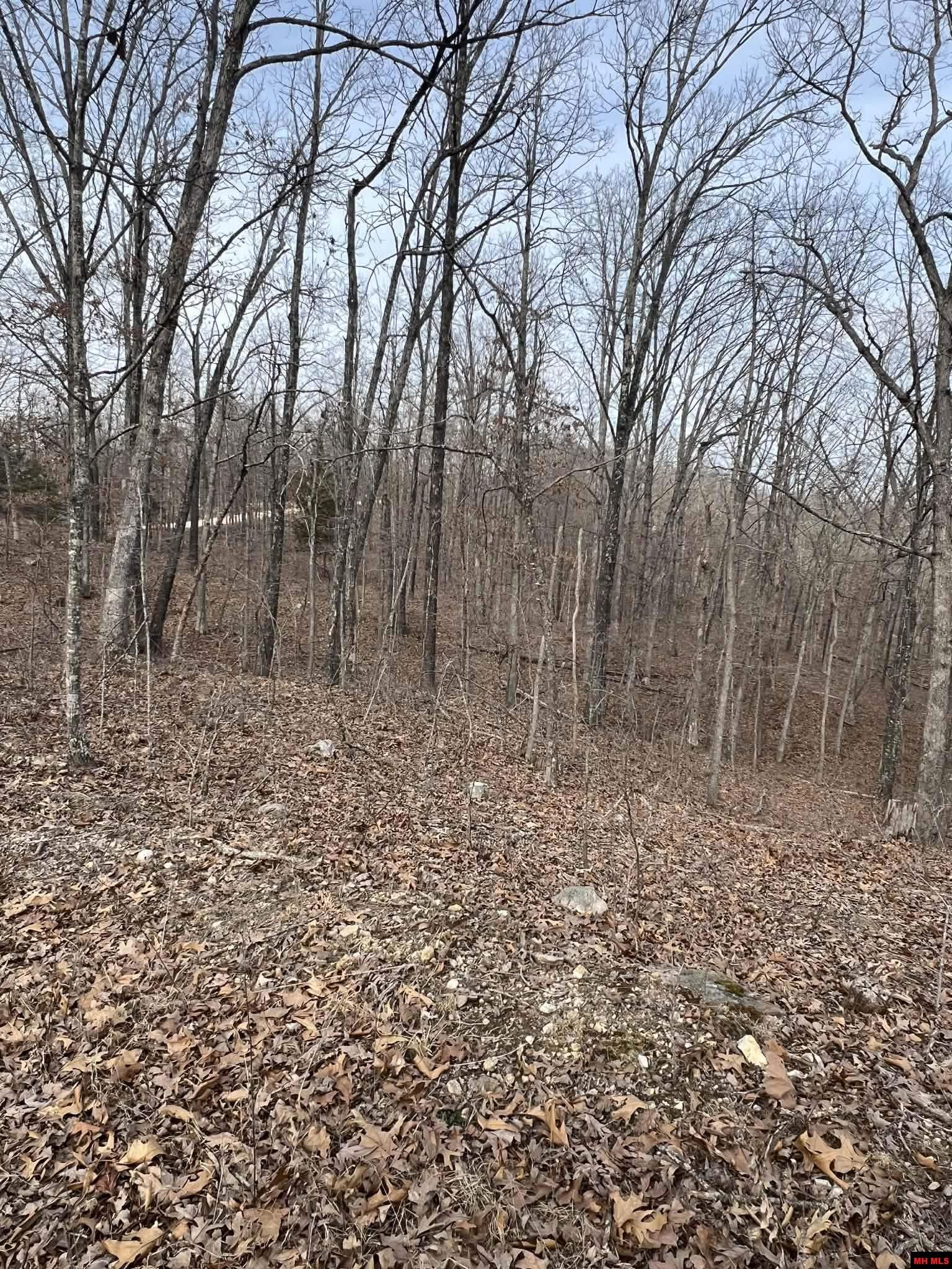 250735000000007 State Hwy Y