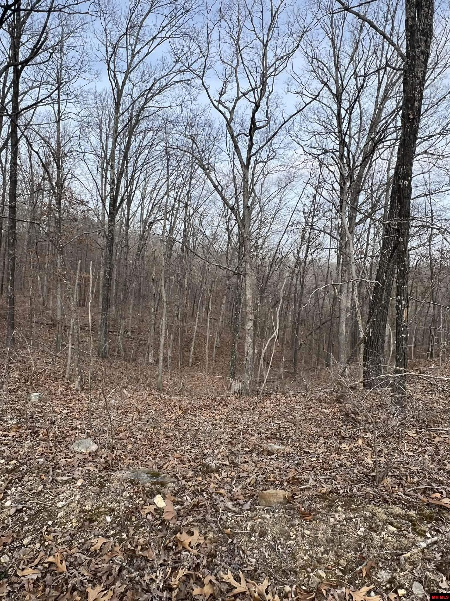 250735000000007 State Hwy Y