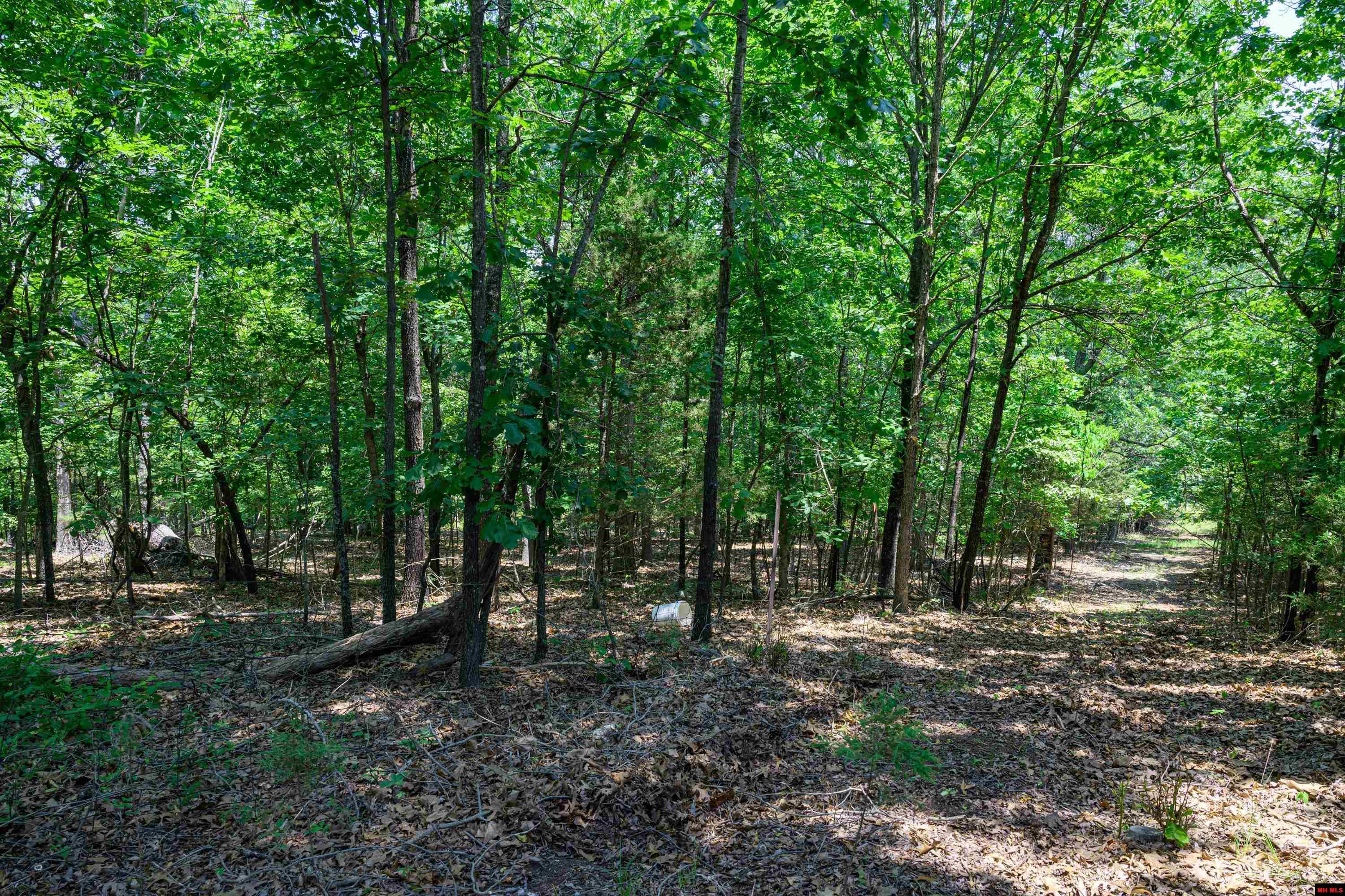 Lots 69-70 Swiss Mountain Drive