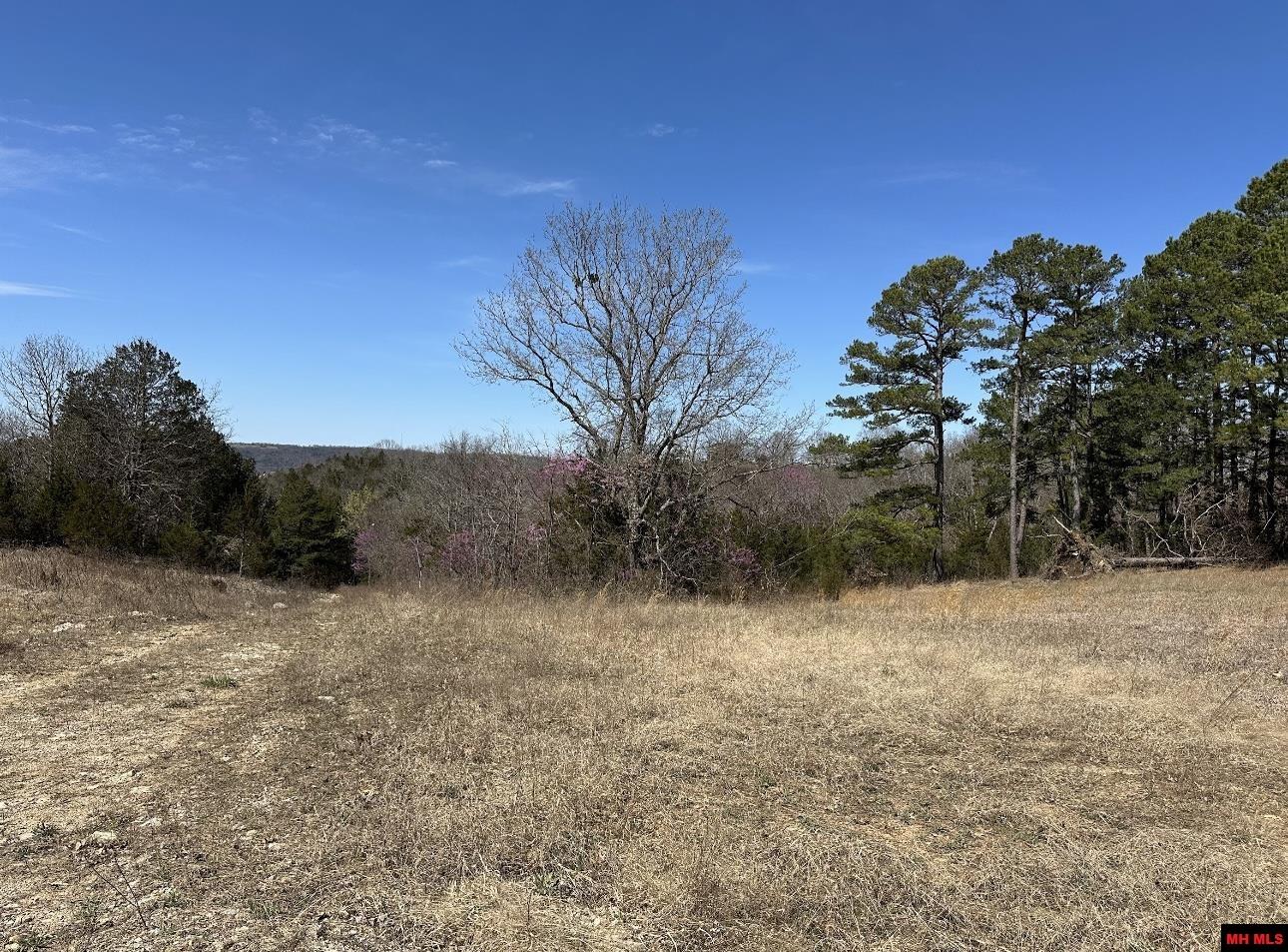 Lot 1 Deer Meadows Lane