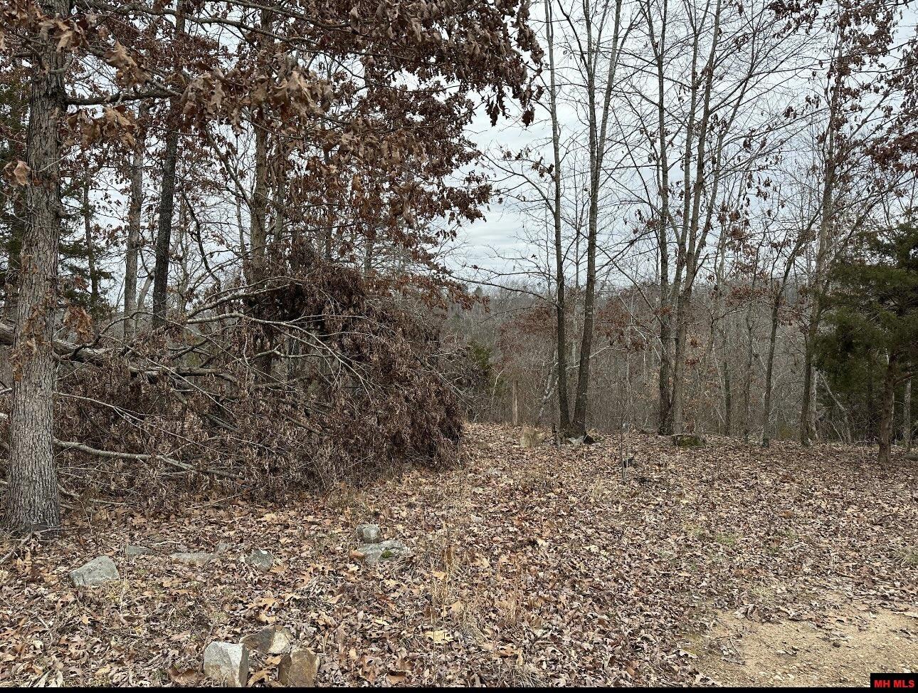 Lot 2 Deer Meadows Lane