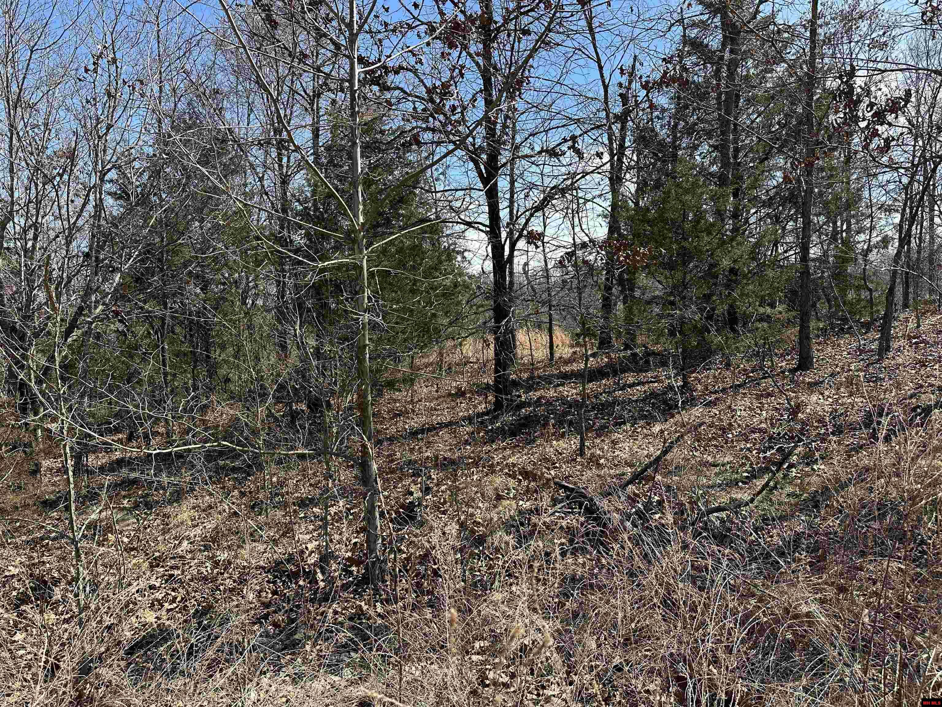 Lot 2 Deer Meadows Lane