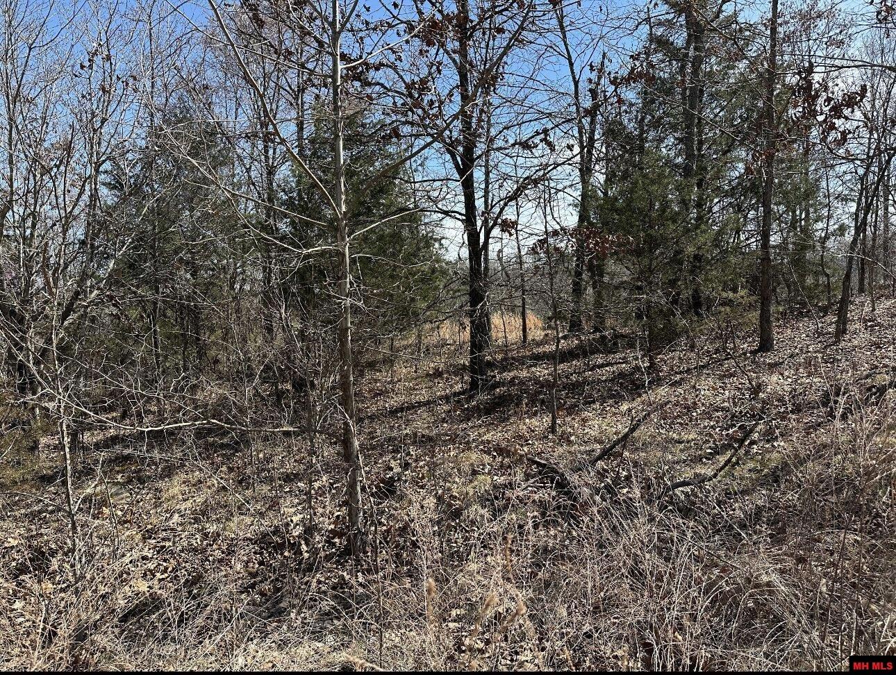 Lot 4 Deer Meadows Lane