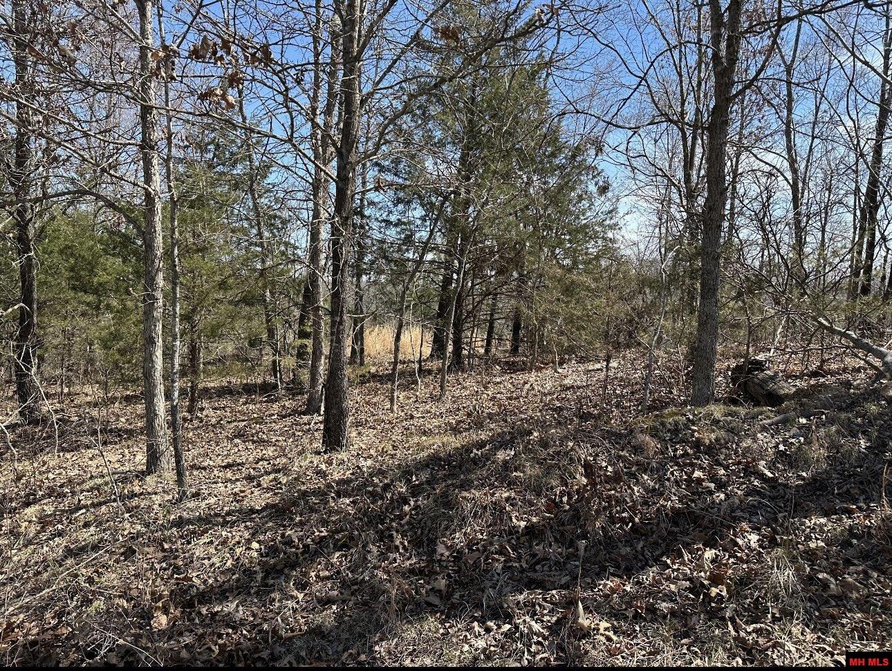 Lot 4 Deer Meadows Lane