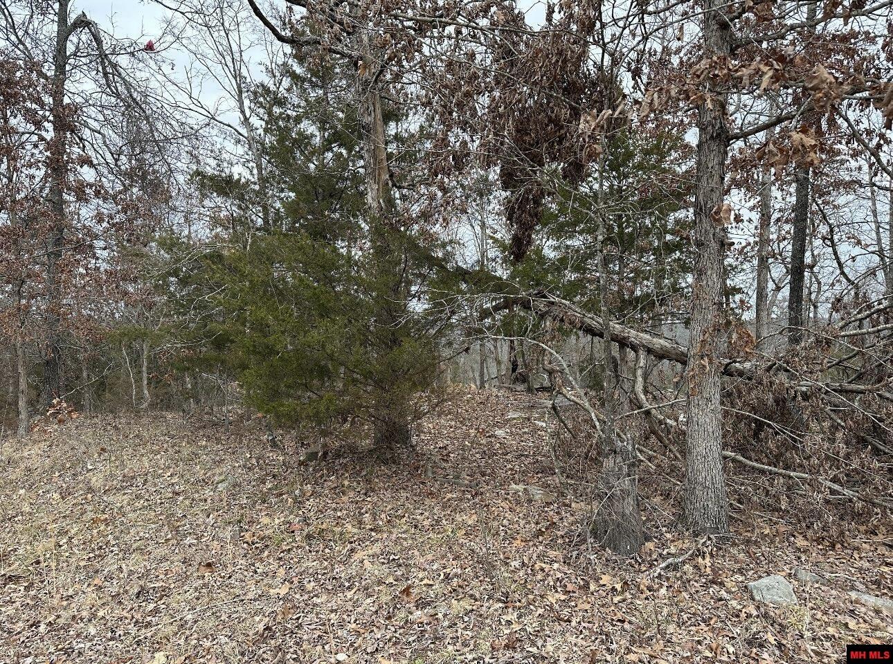 Lot 4 Deer Meadows Lane