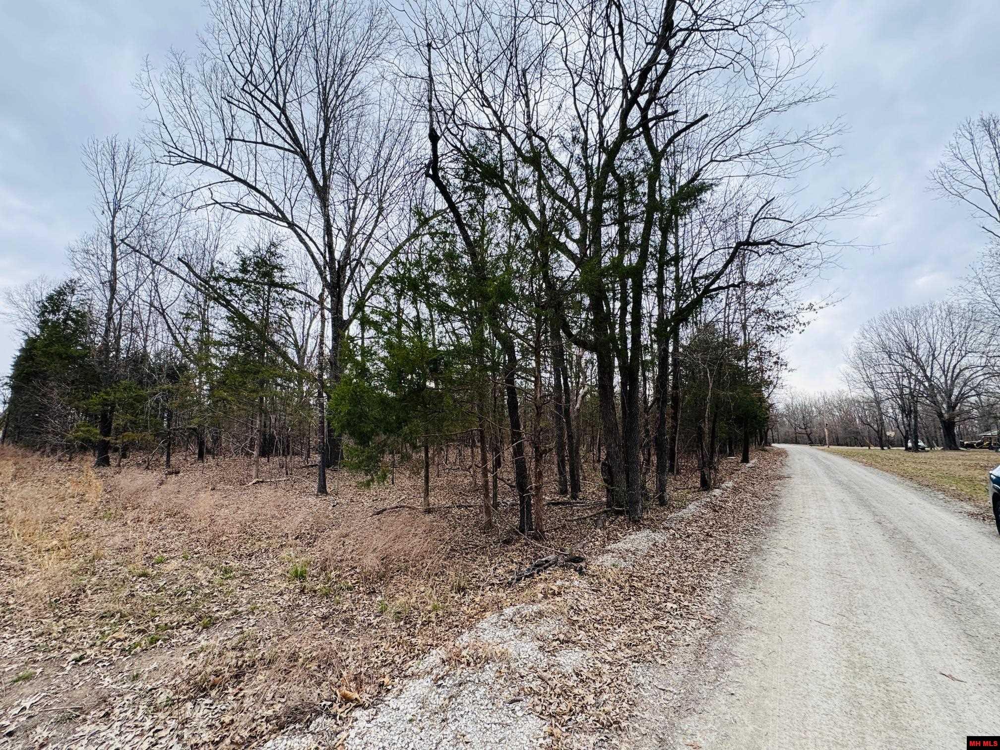 002-10665-044 Cr 1121