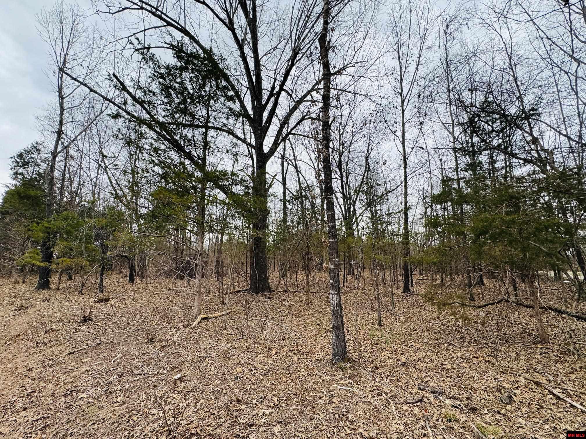 002-10665-044 Cr 1121