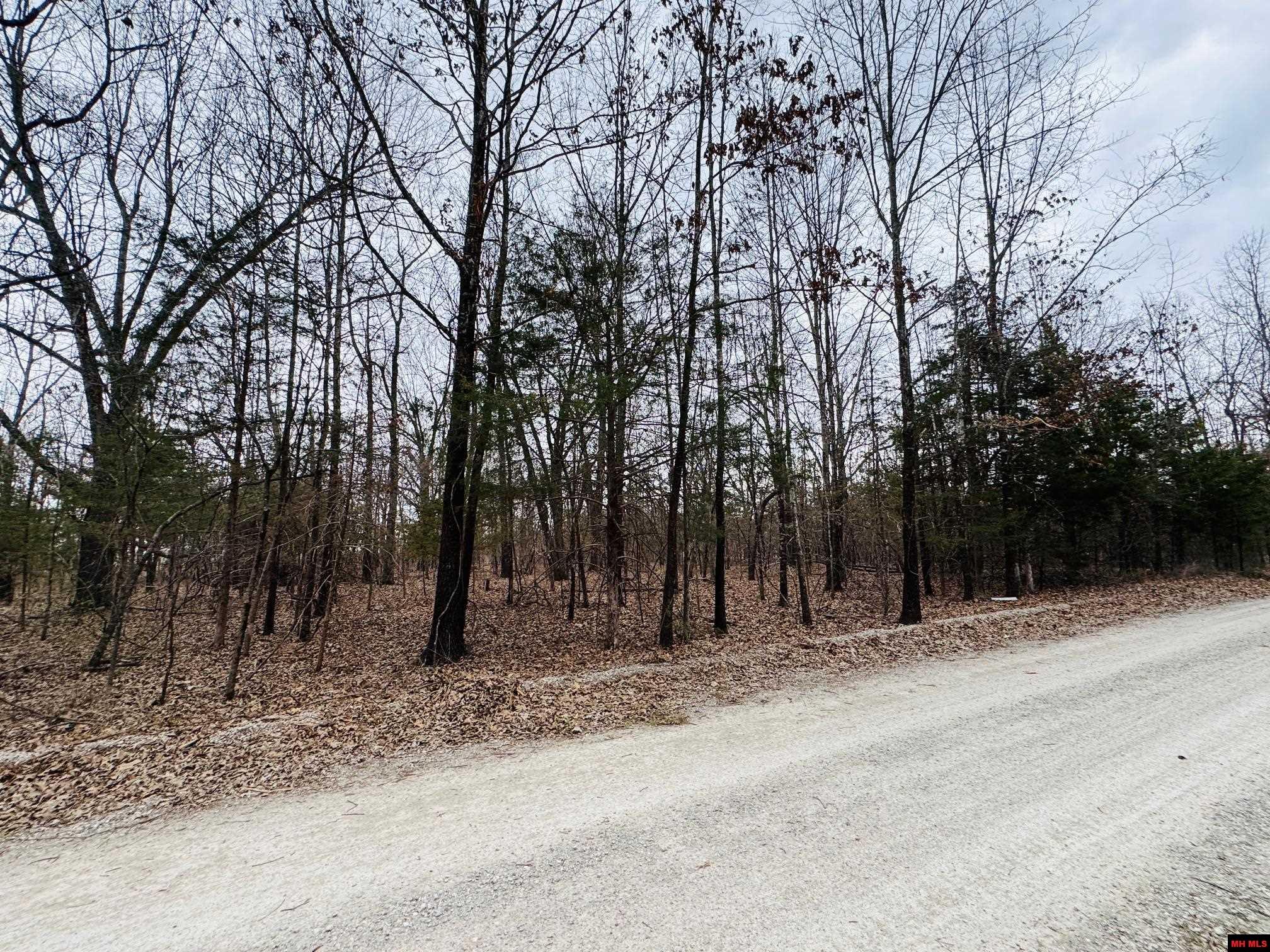 002-10665-044 Cr 1121