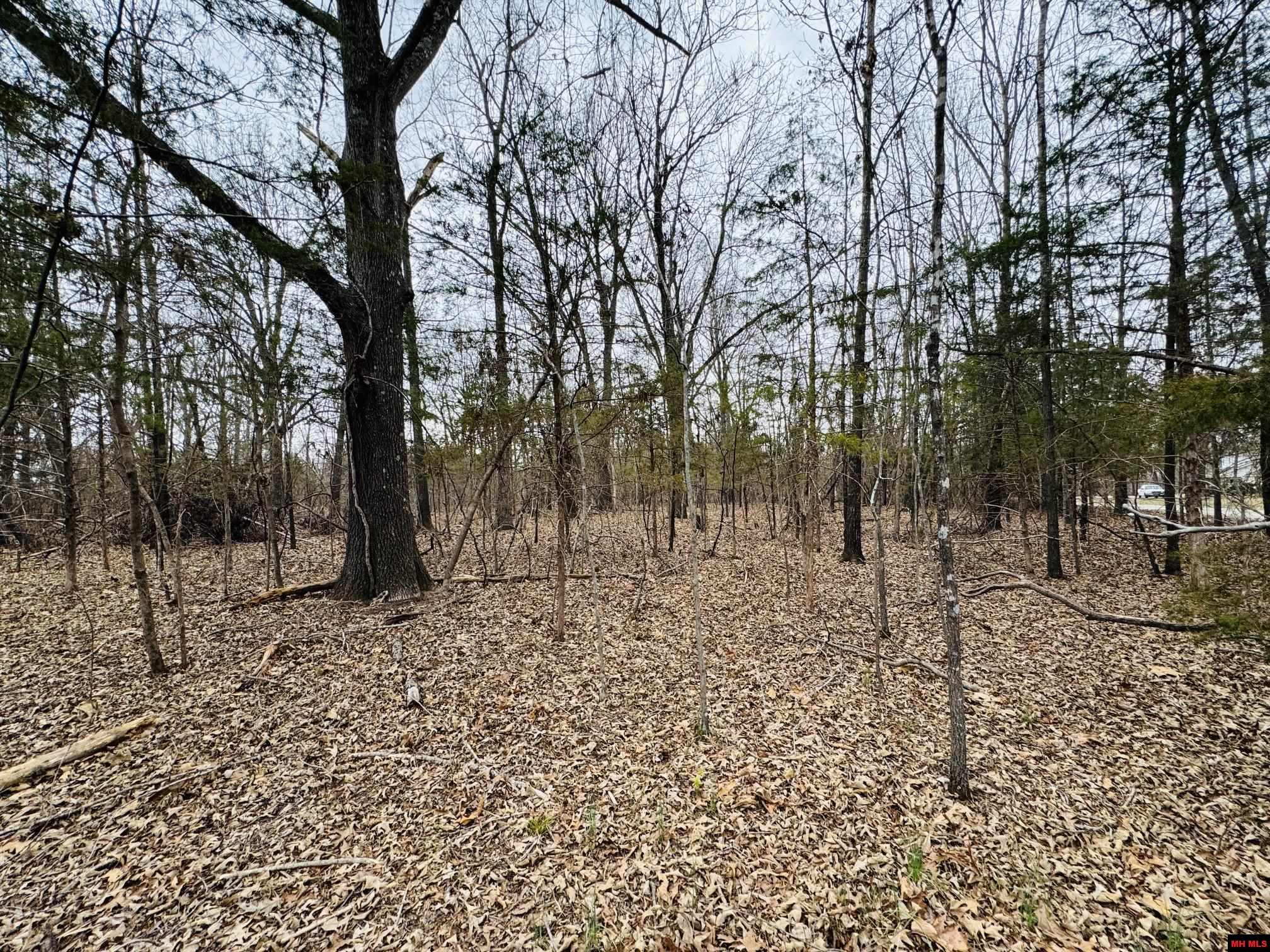 002-10665-044 Cr 1121