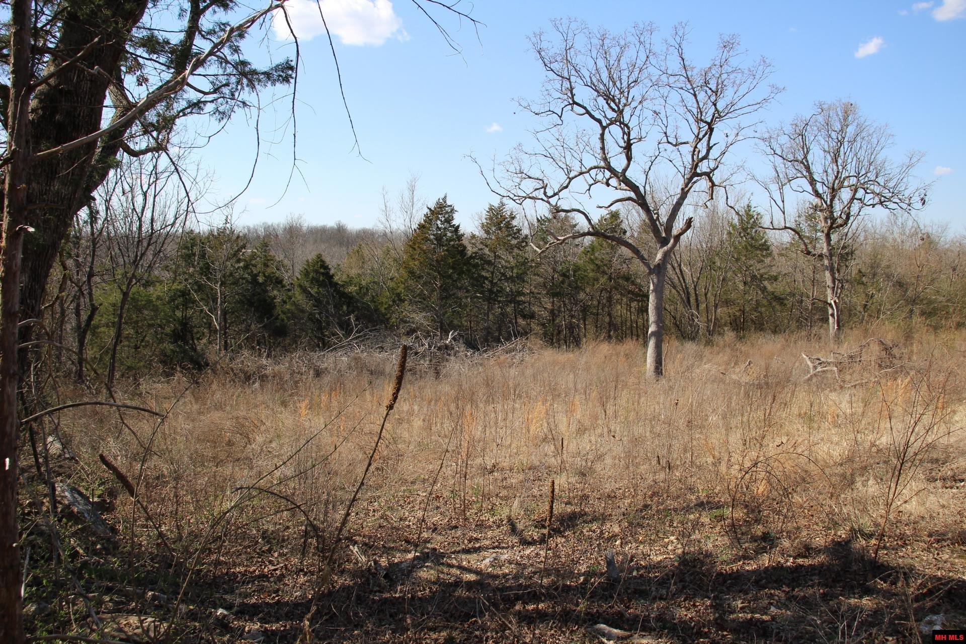 Lot 1 Kingsberry Drive