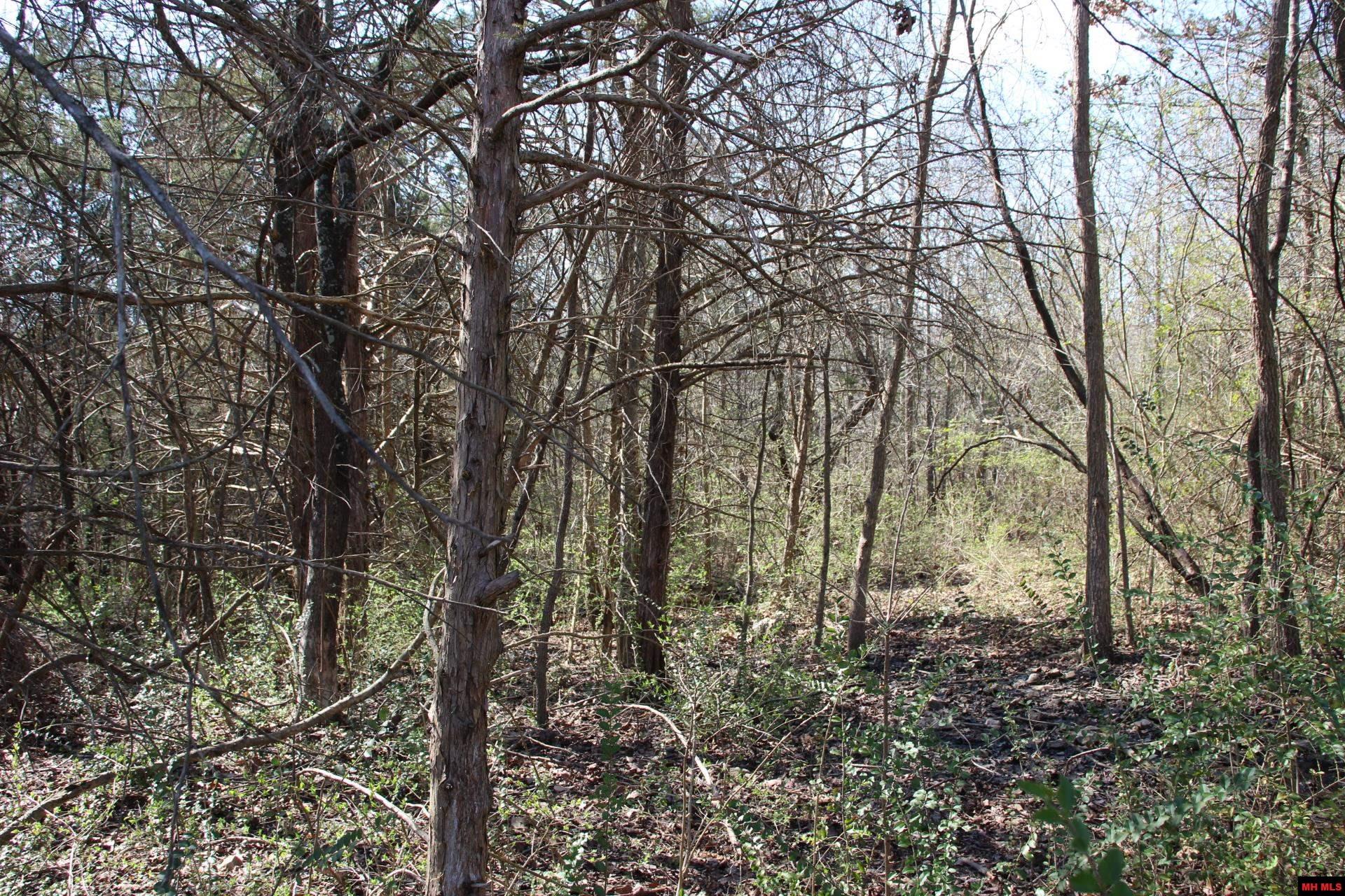 Lot 1 Kingsberry Drive