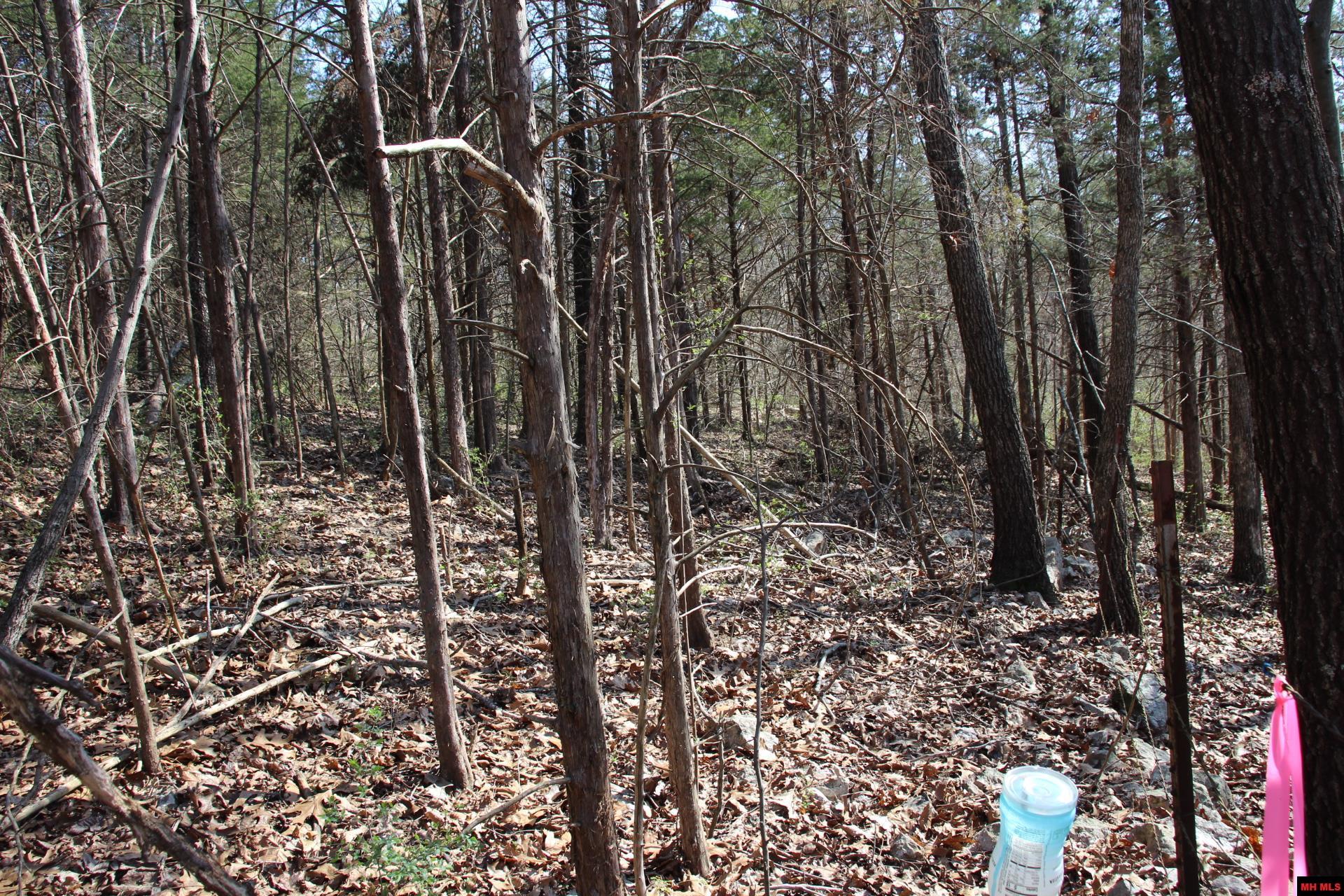 Lot 1 Kingsberry Drive