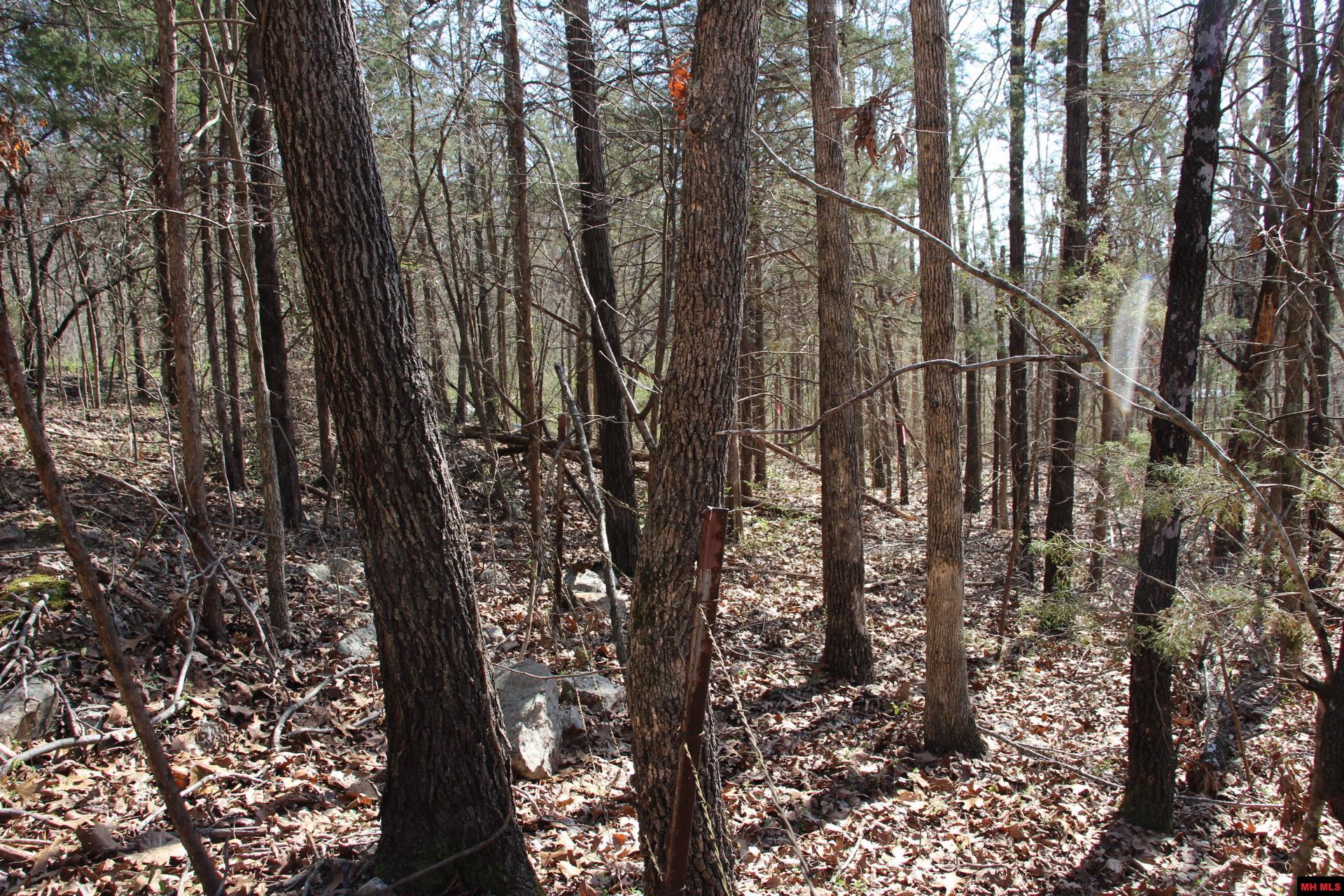 Lot 1 Kingsberry Drive