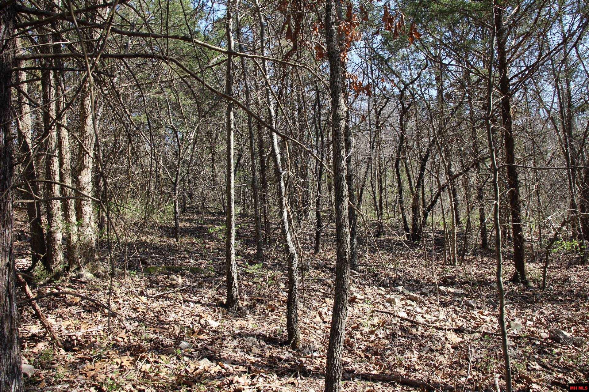 Lot 1 Kingsberry Drive