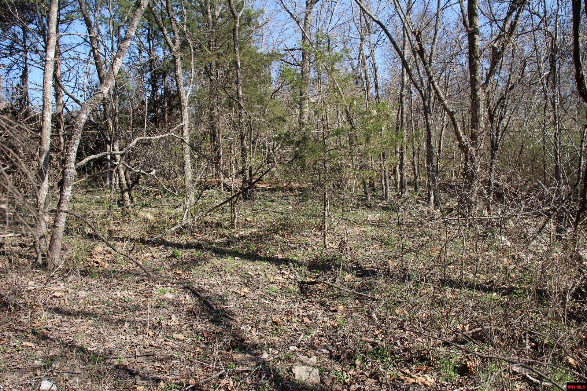 Lot 1 Kingsberry Drive