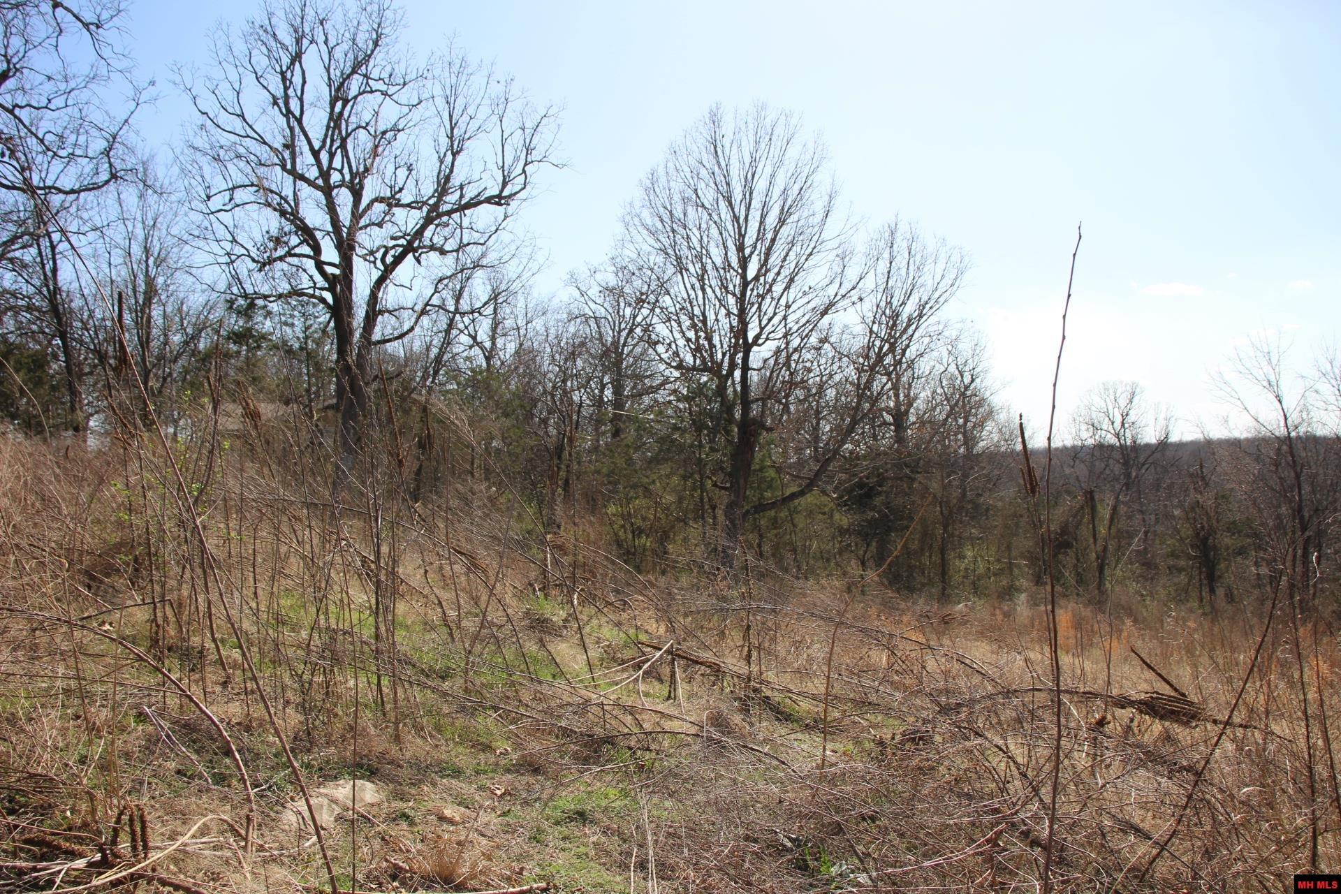 Lot 1 Kingsberry Drive