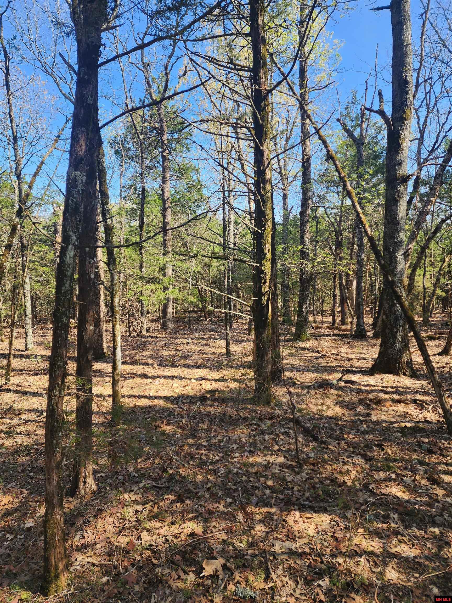 001-06246-000 Mc 8063