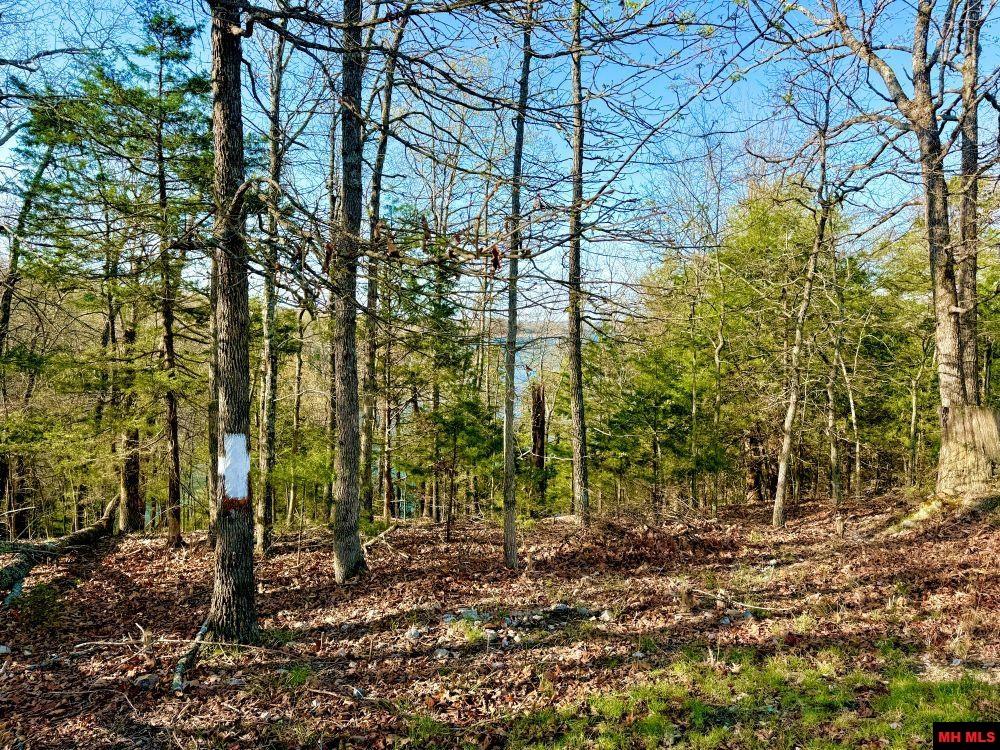 10019 Promise Land Road