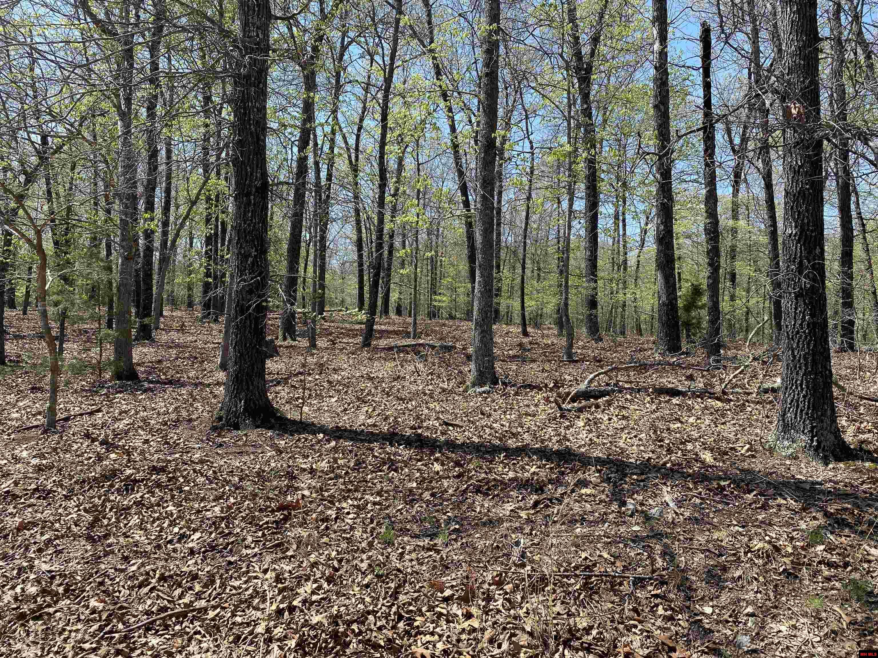 563-00020-000 Sunrise Circle