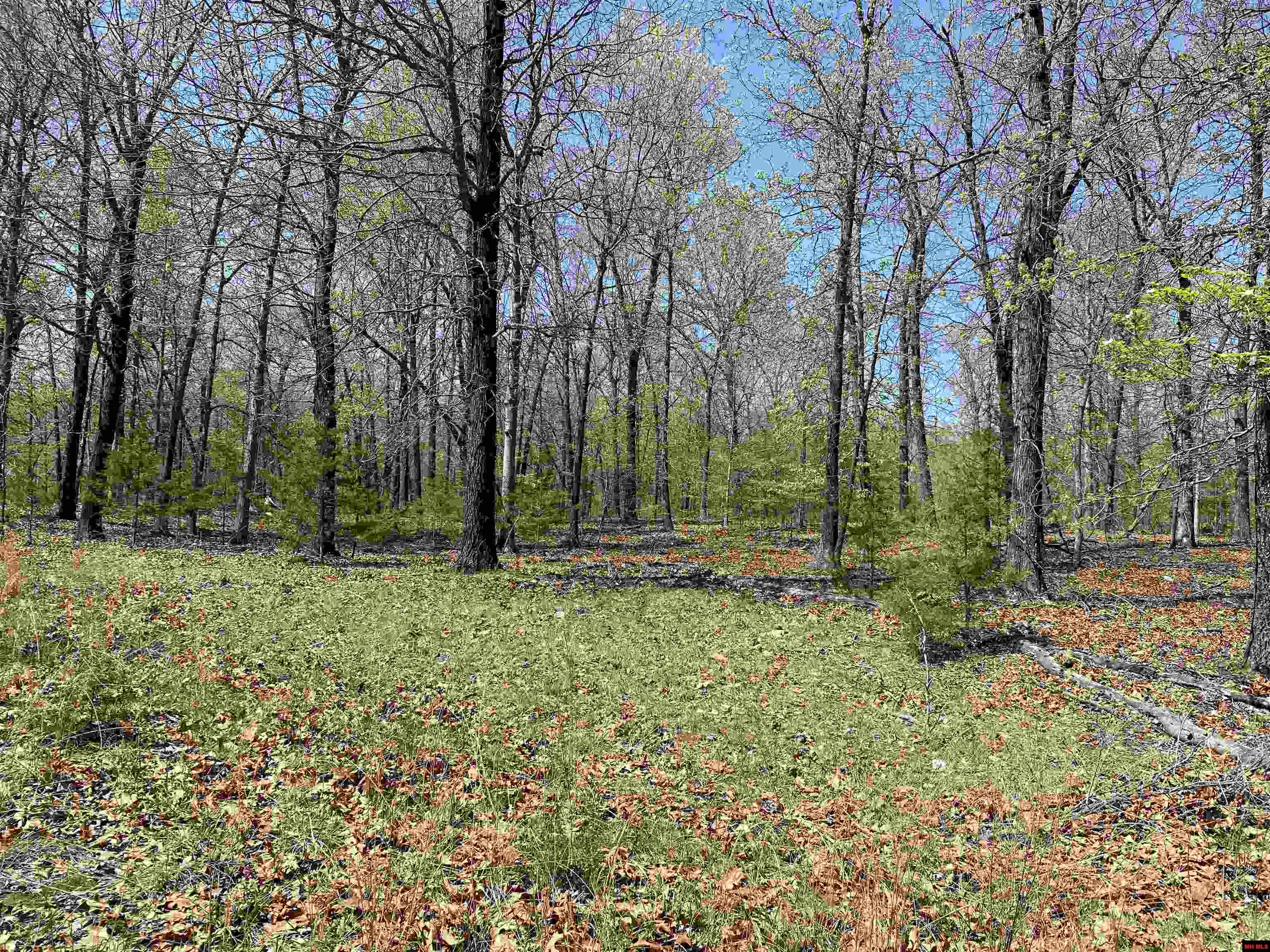 563-00020-000 Sunrise Circle