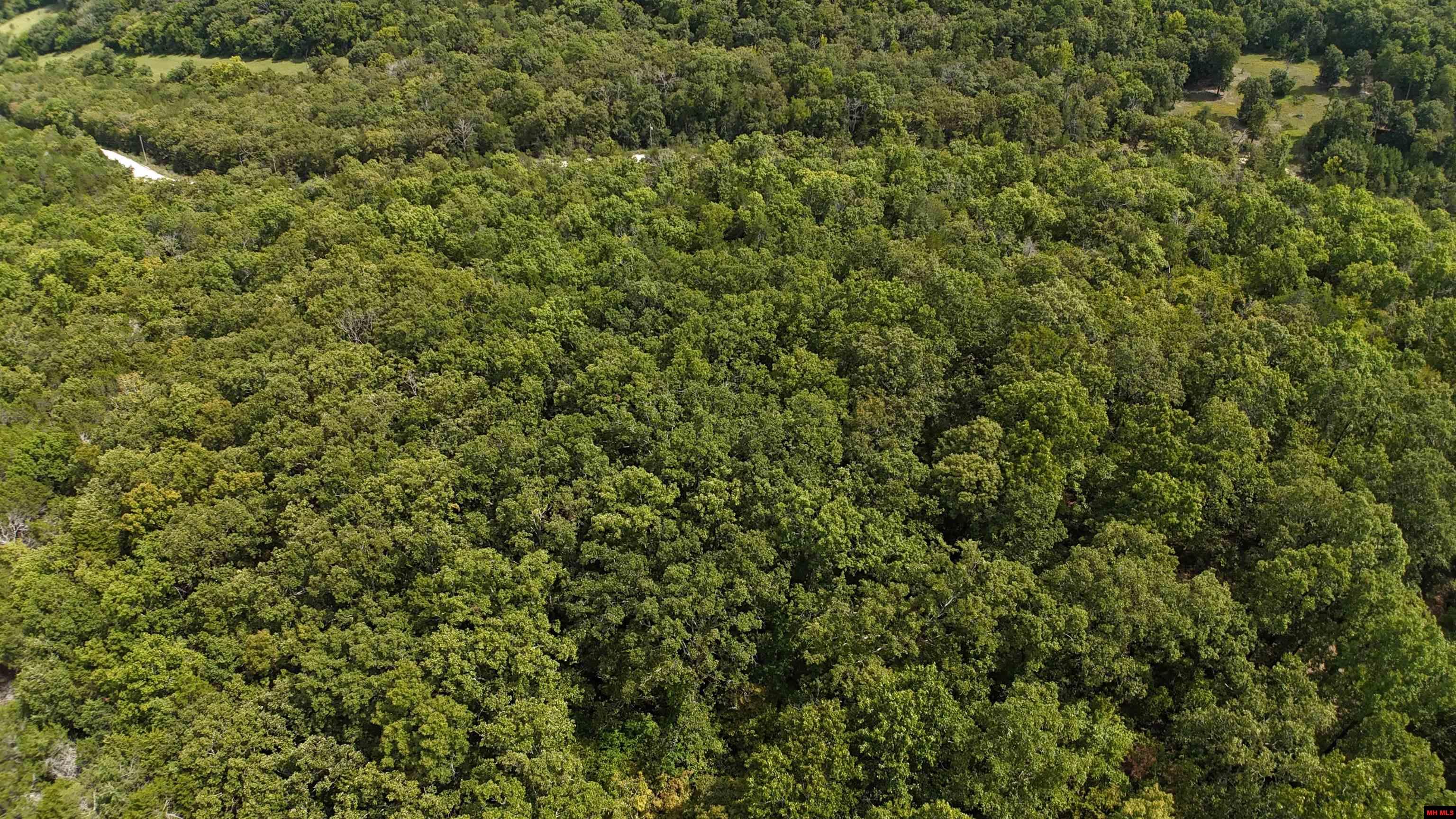 001-00379-001 Mc 6064