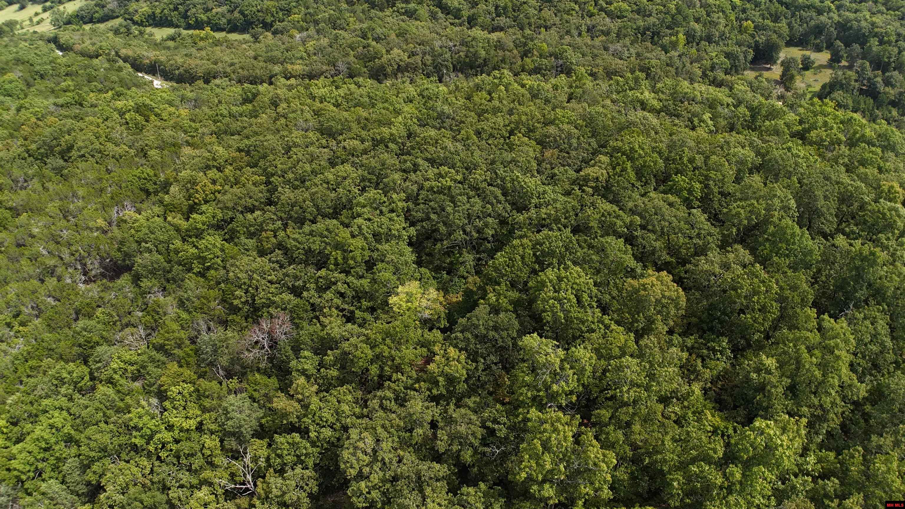 001-00379-001 Mc 6064