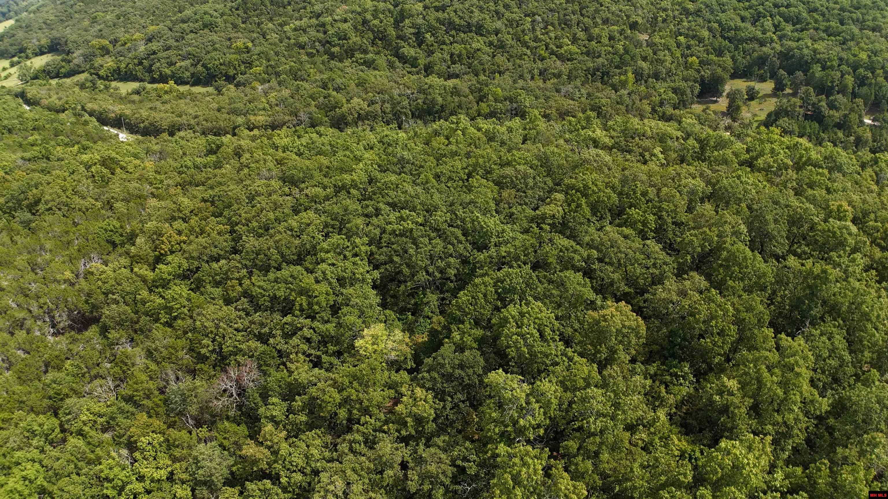 001-00379-001 Mc 6064