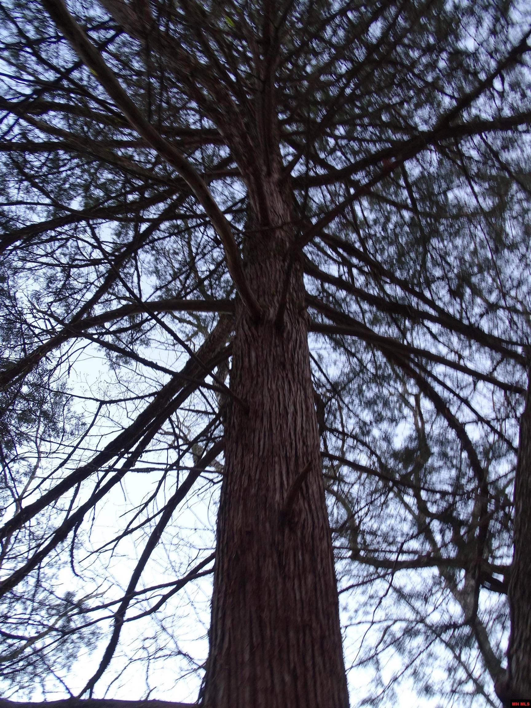 001-00379-001 Mc 6064