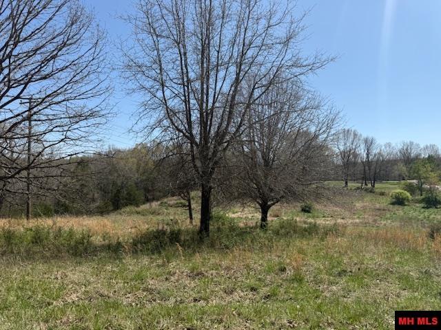 002-11074-107 Basswood Drive