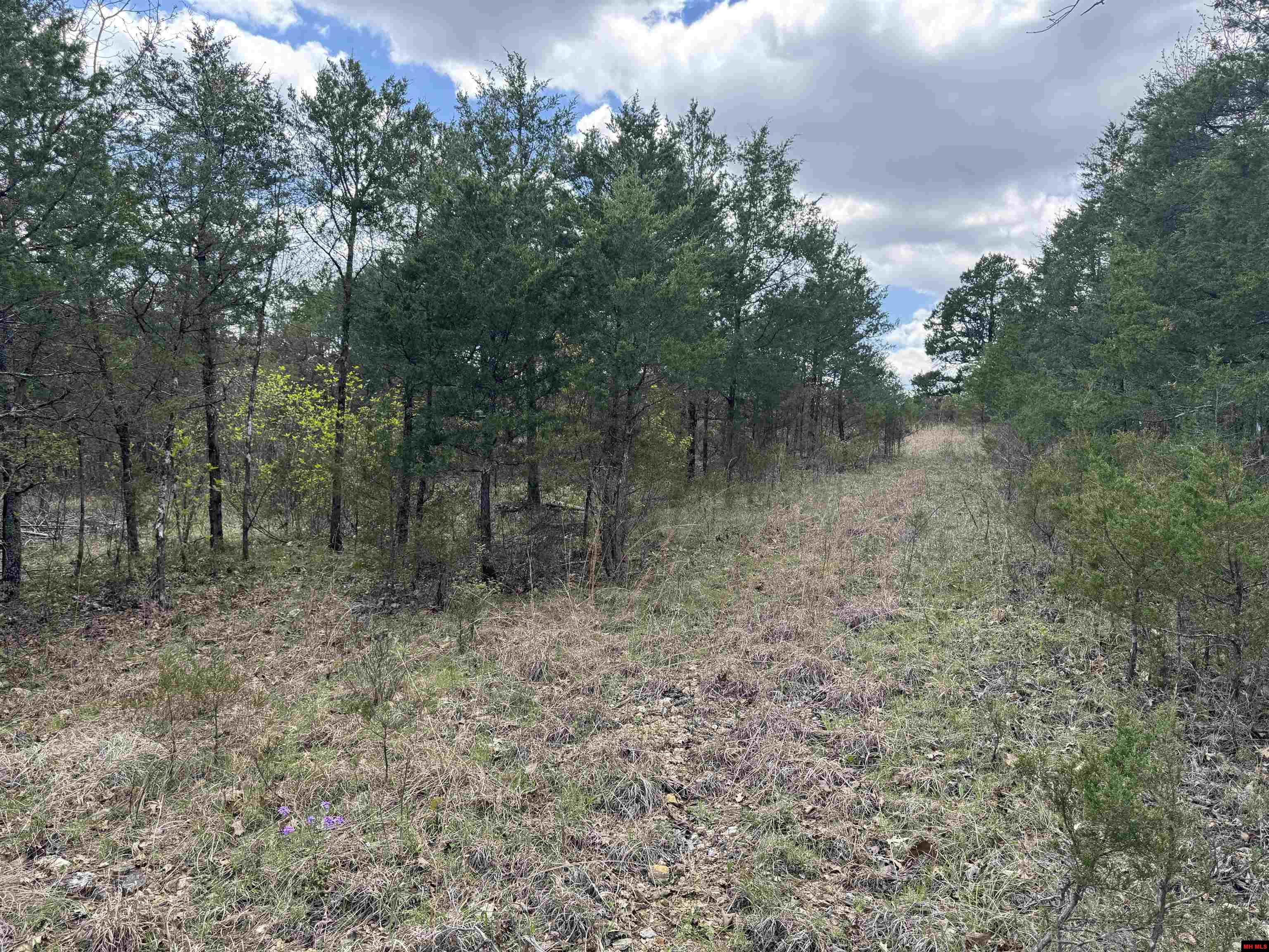 001-07445-013 Cr 1423