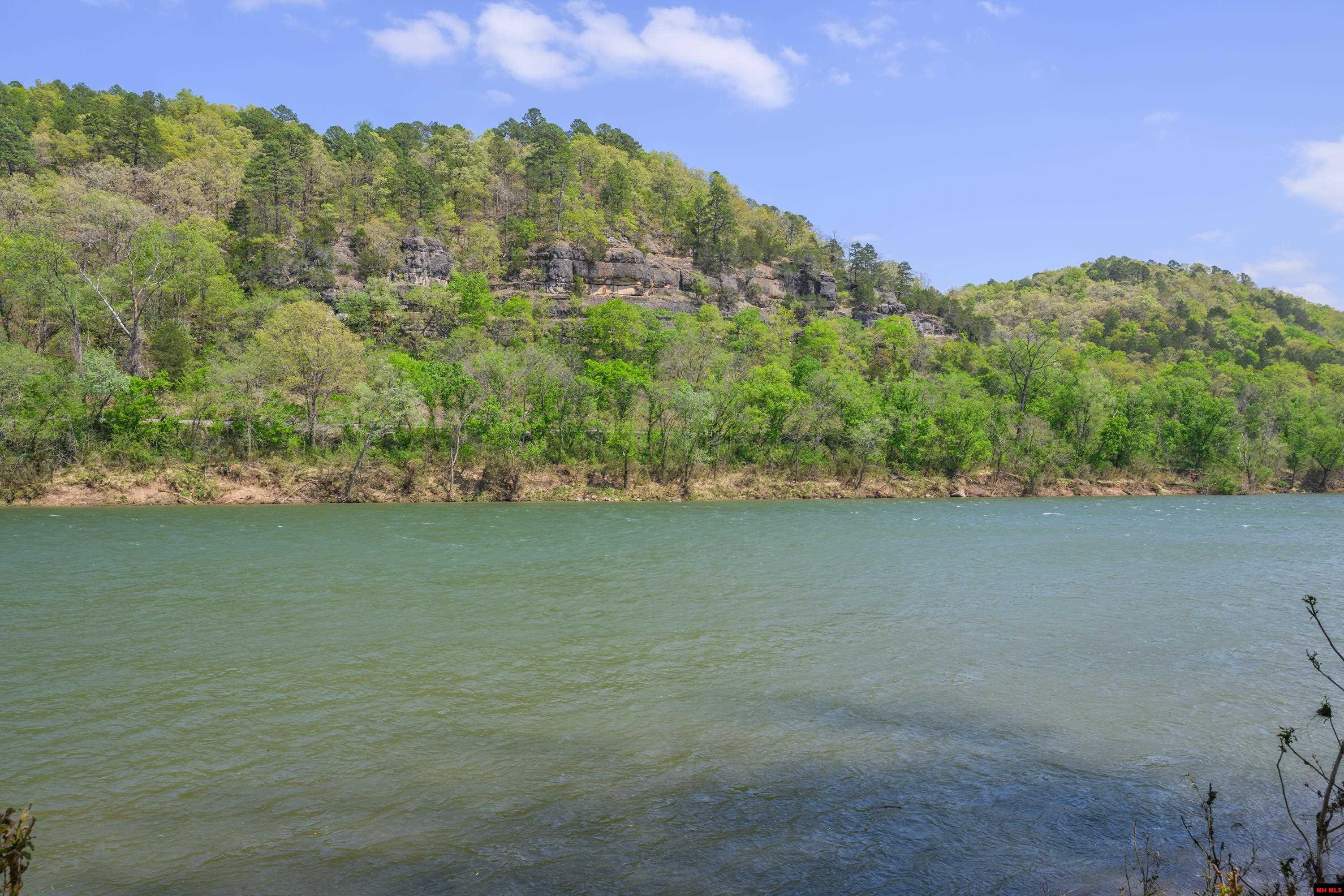 349 MCPHEARSON TERRACE Norfork, AR