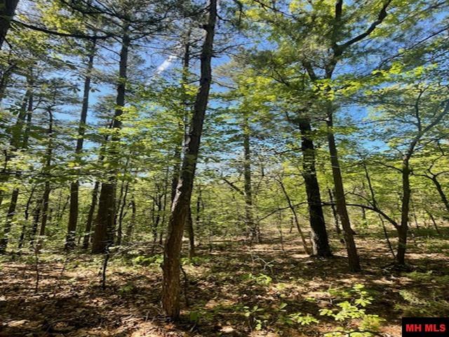 001-05060-008 Zone Ridge Lane