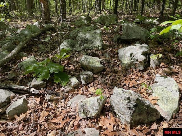 001-05060-008 Zone Ridge Lane