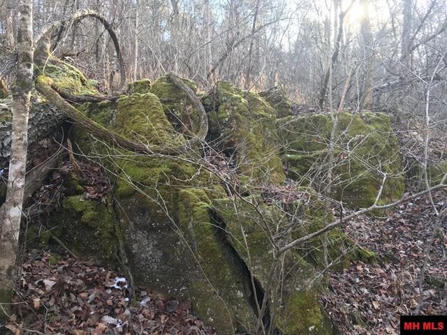 001-05060-008 Zone Ridge Lane