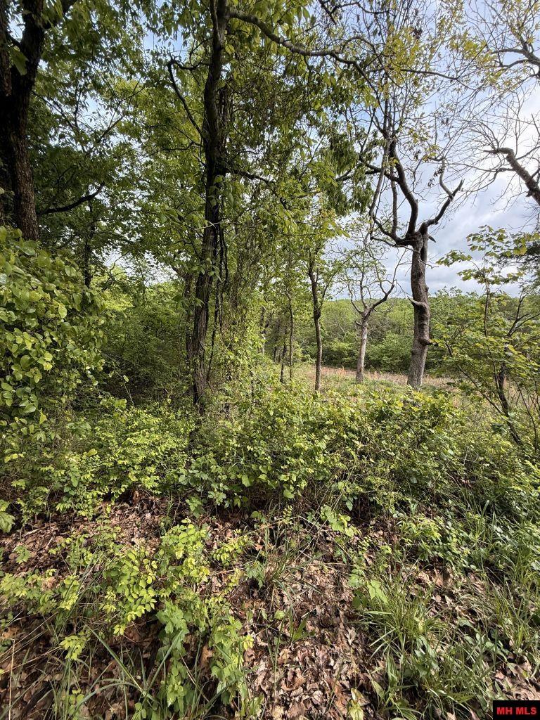 002-07477-000 Miller Drive